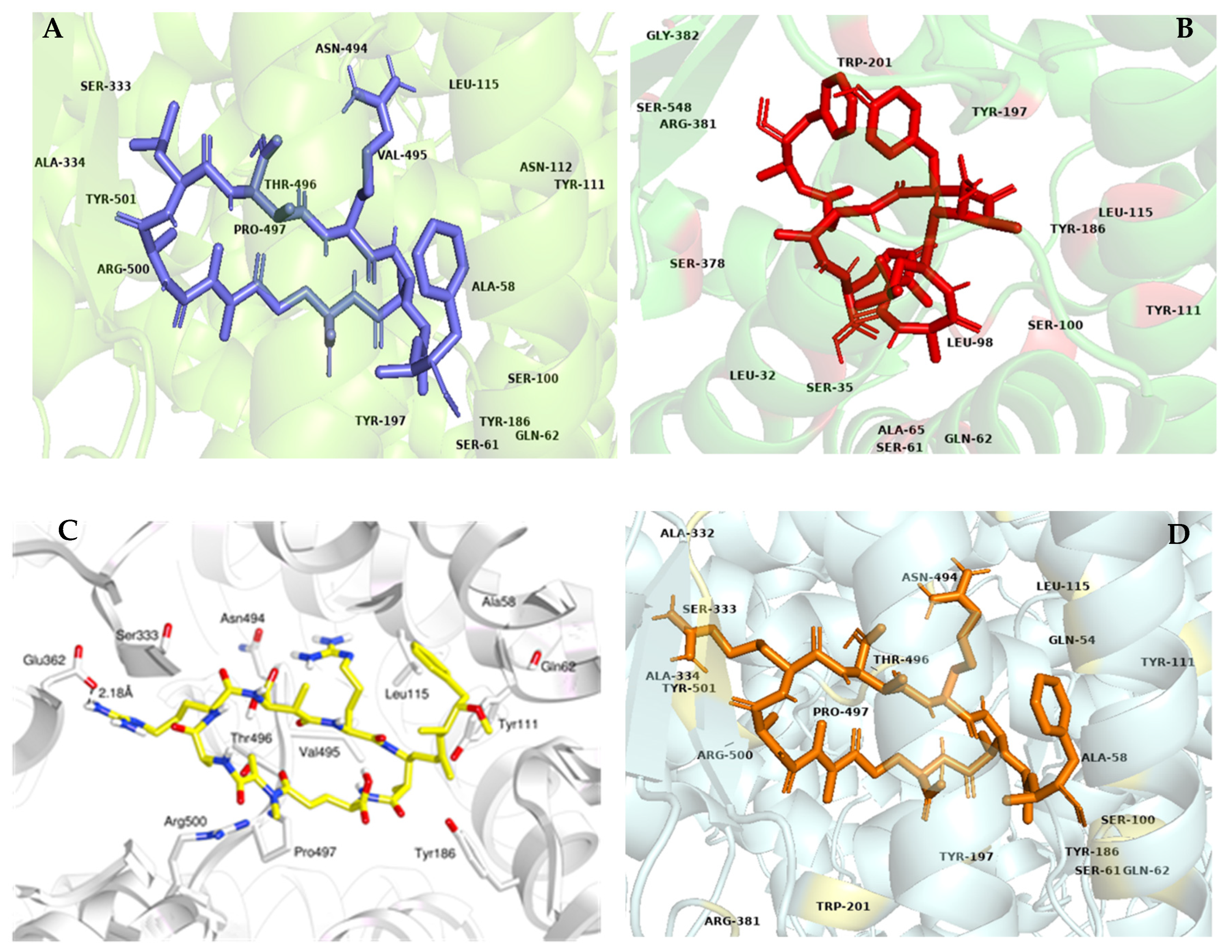 Applsci 12 02612 g004