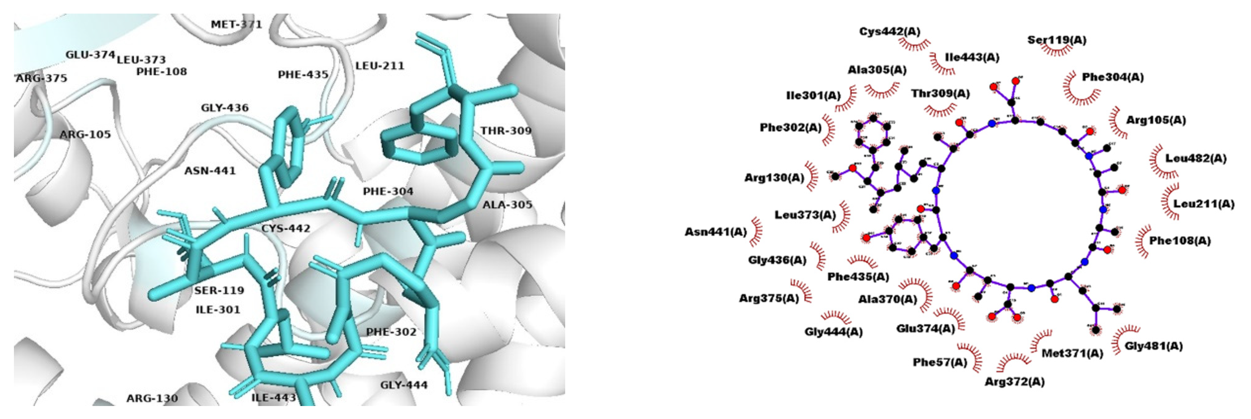 Applsci 12 02612 g005