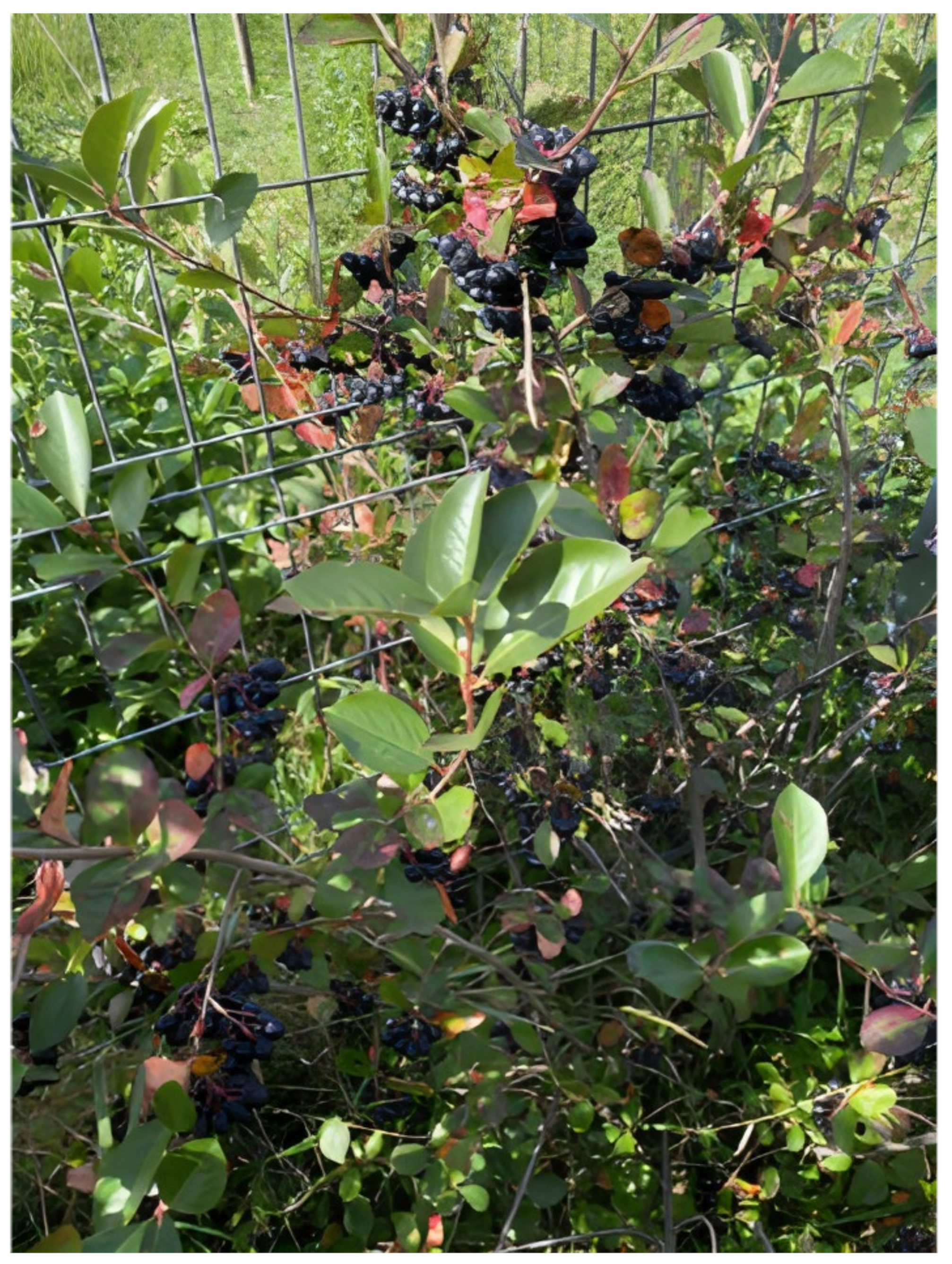 Applsci 12 02635 g003