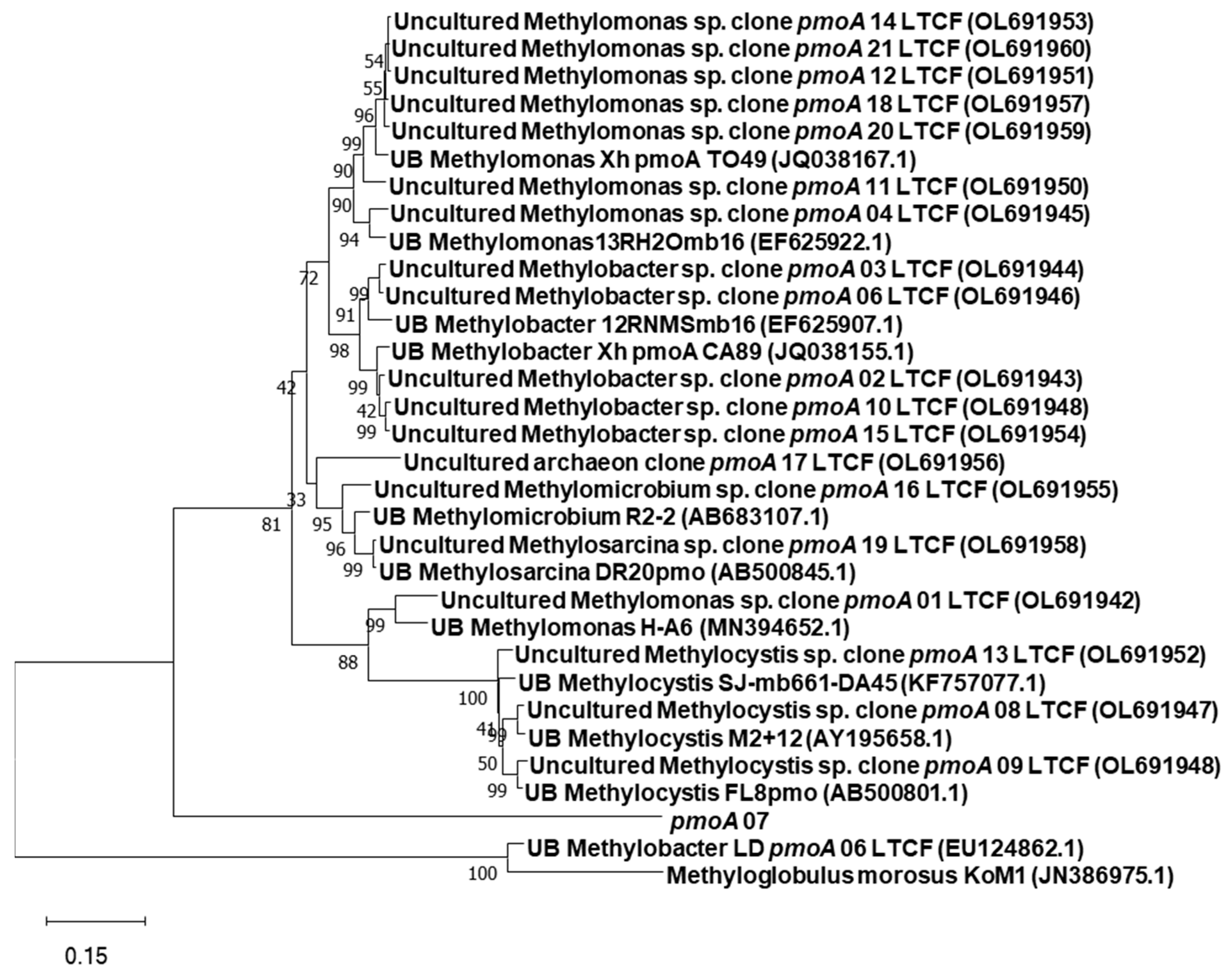 Applsci 12 02652 g003 Applsci 12 02652 g003