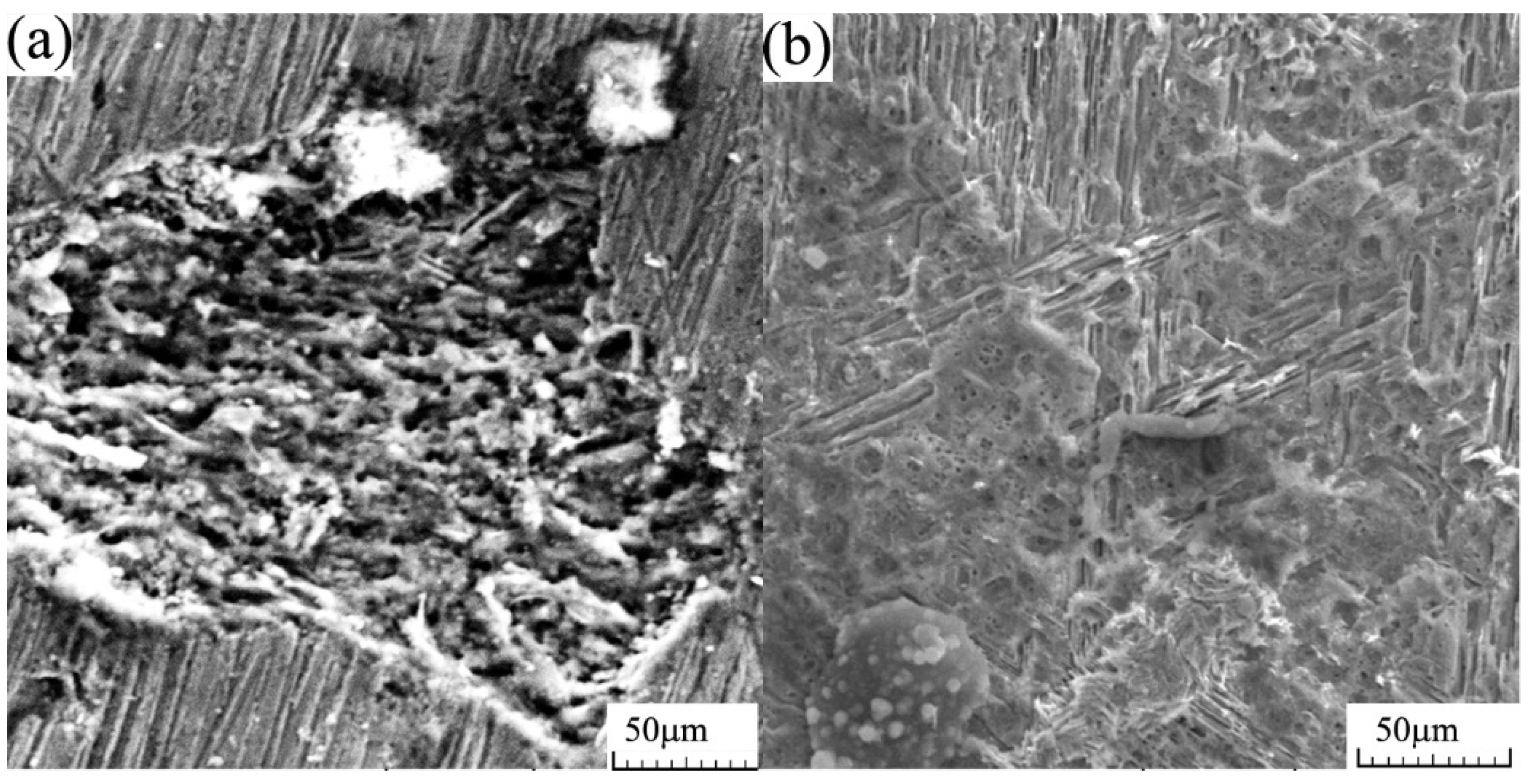 Applsci 12 02727 g007 Applsci 12 02727 g007