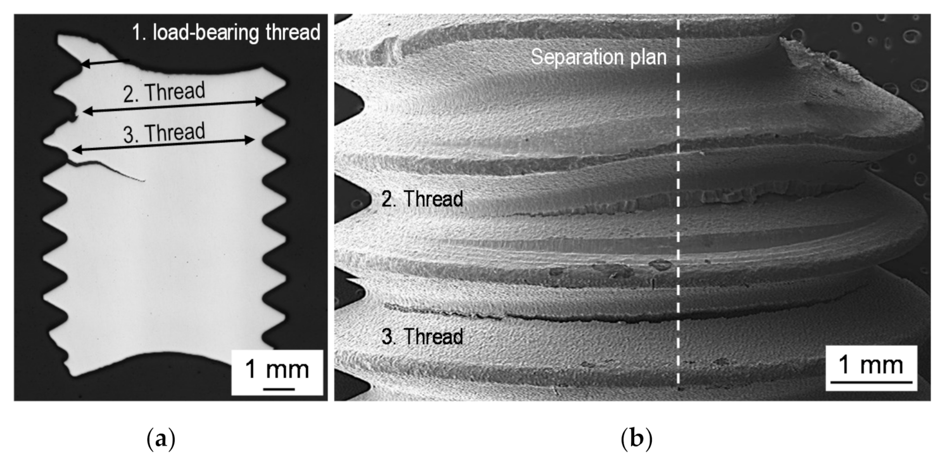 Applsci 12 02778 g007