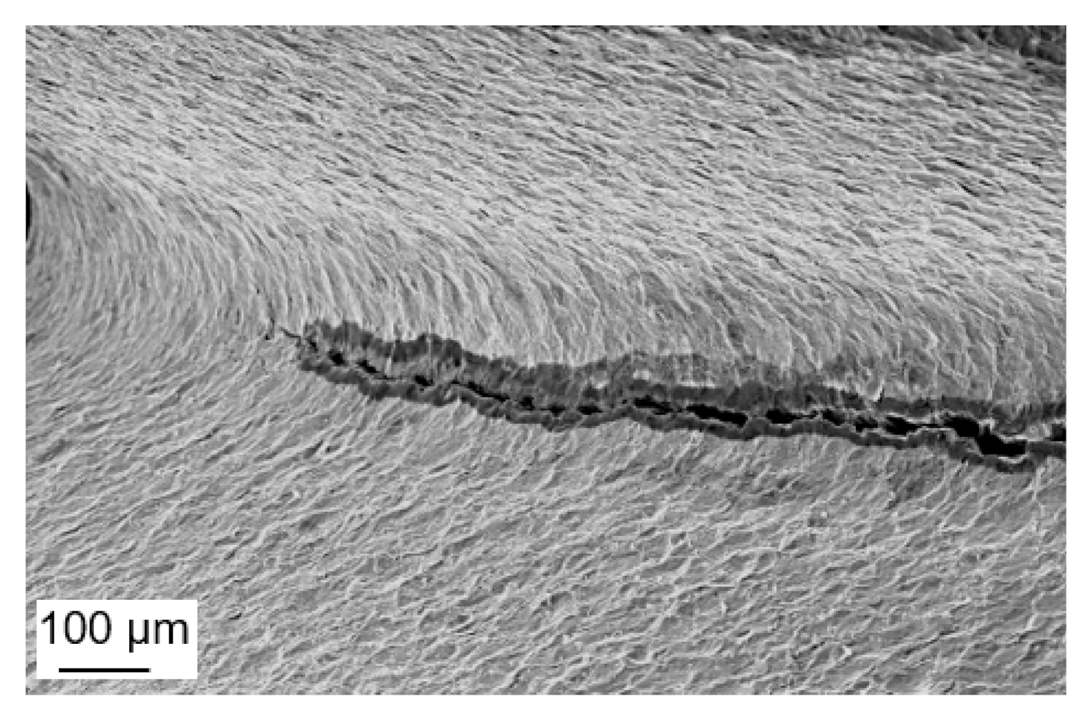 Applsci 12 02778 g014