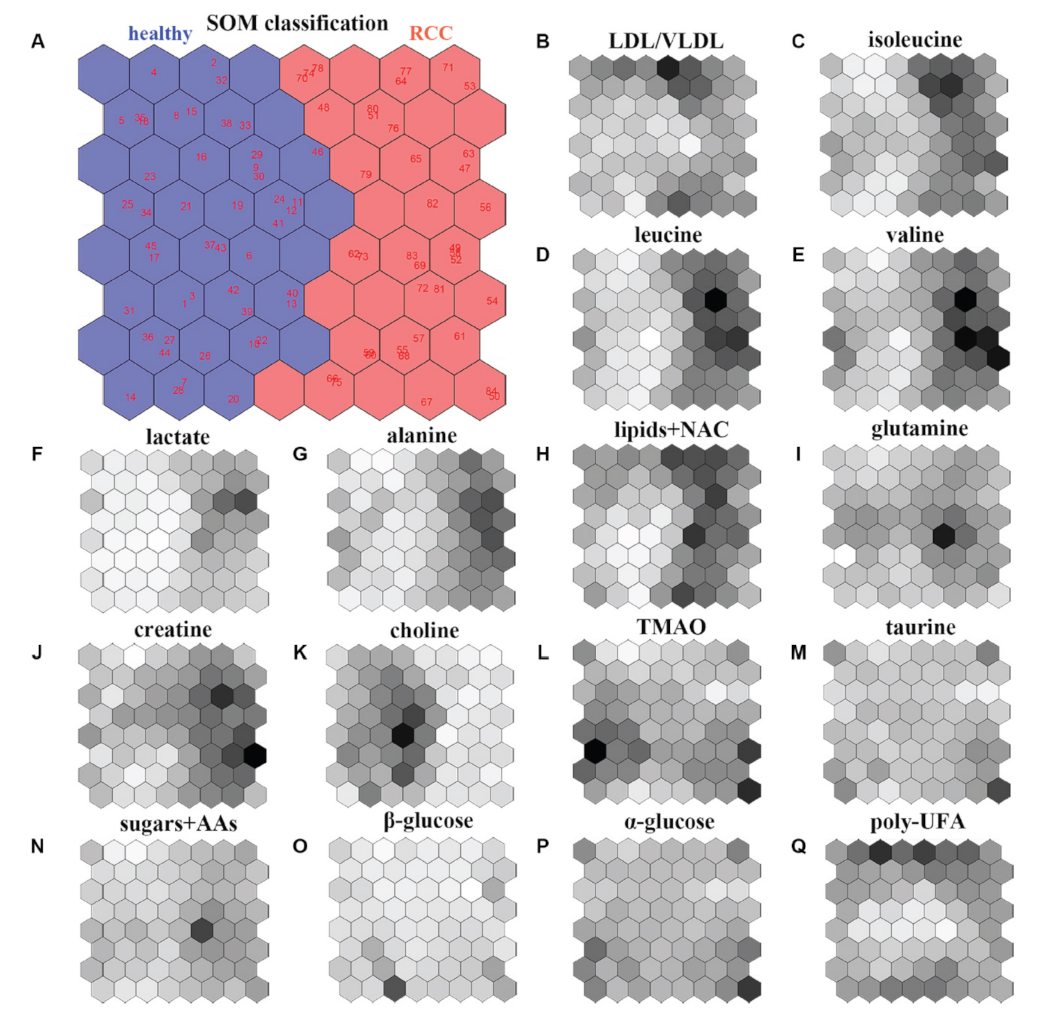 Applsci 12 02824 g004