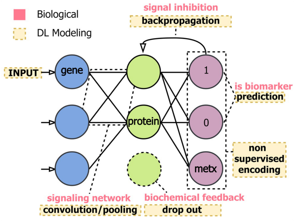 Applsci 12 02824 g023