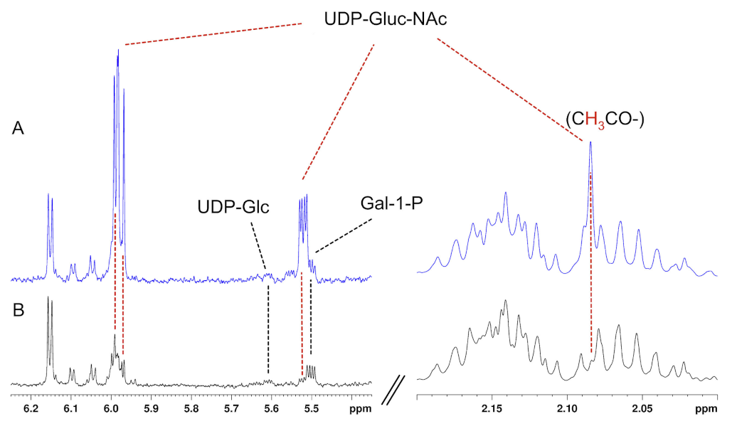 Applsci 12 02824 g0a4