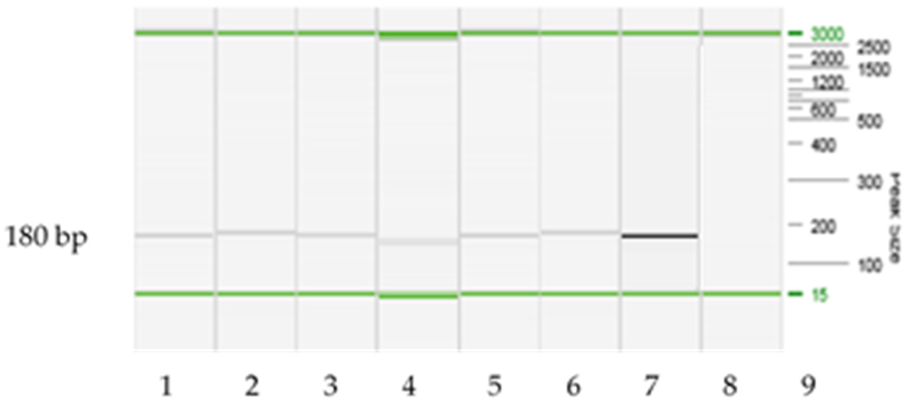 Applsci 12 02837 g001 Applsci 12 02837 g001