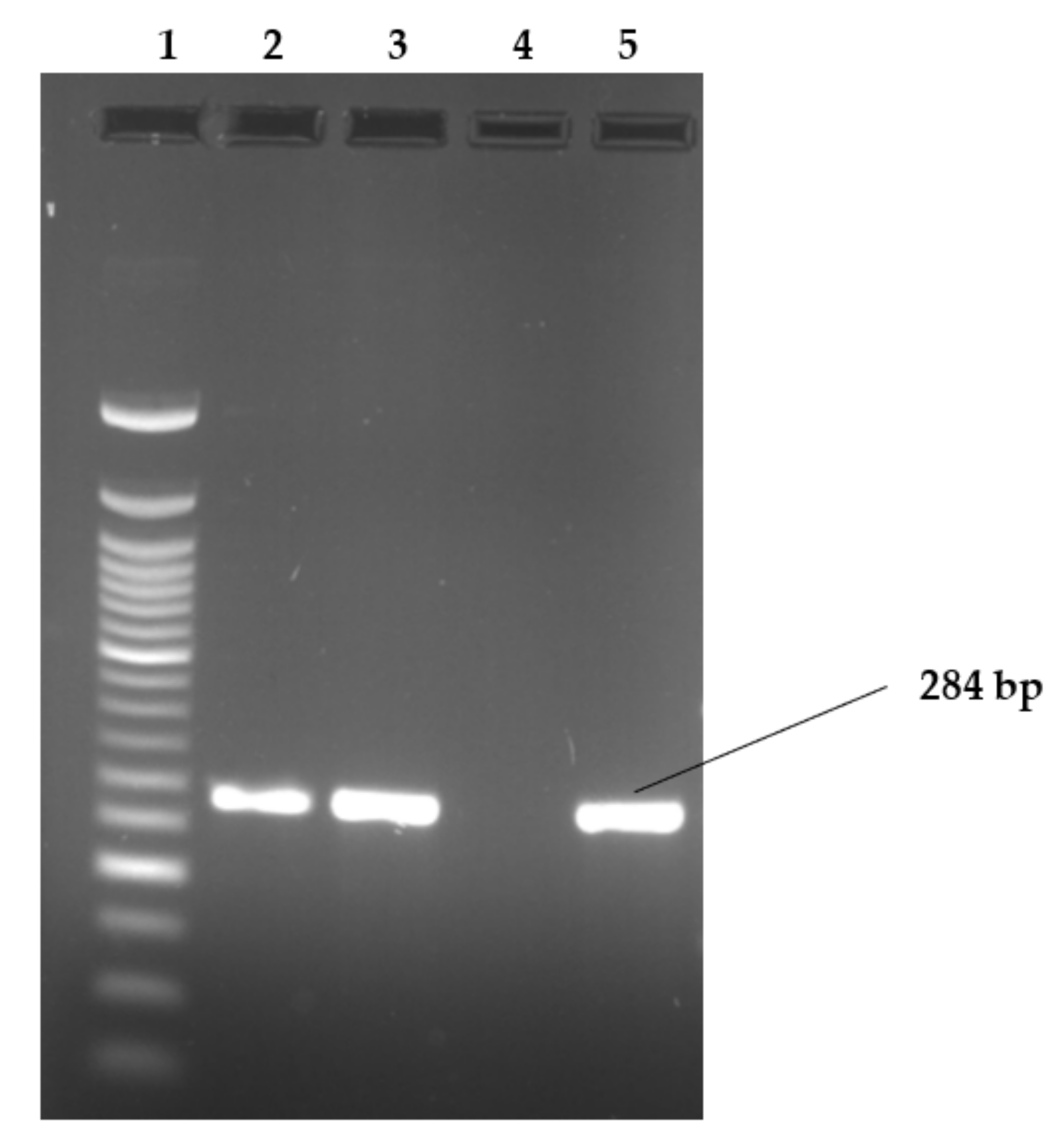 Applsci 12 02843 g002