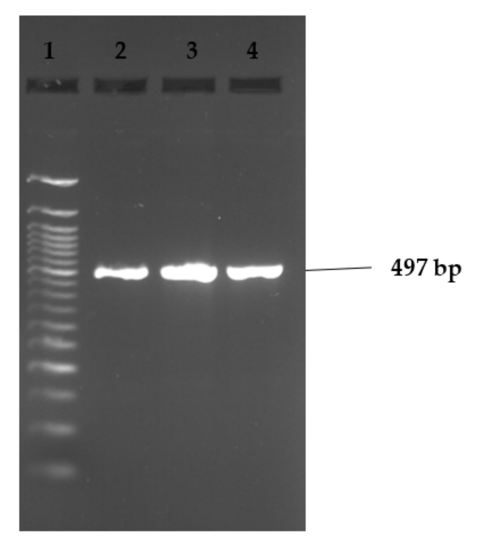 Applsci 12 02843 g003