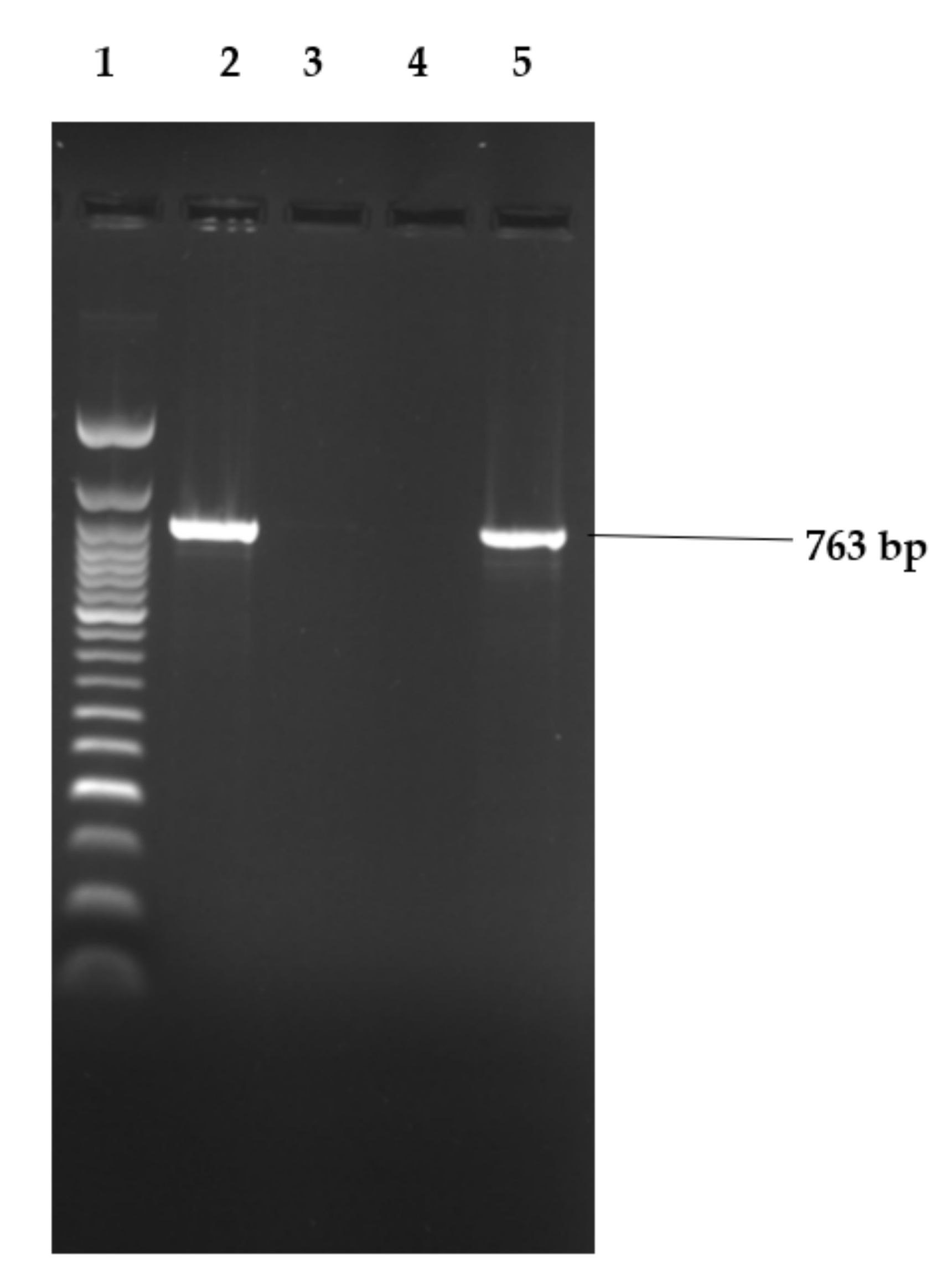 Applsci 12 02843 g004