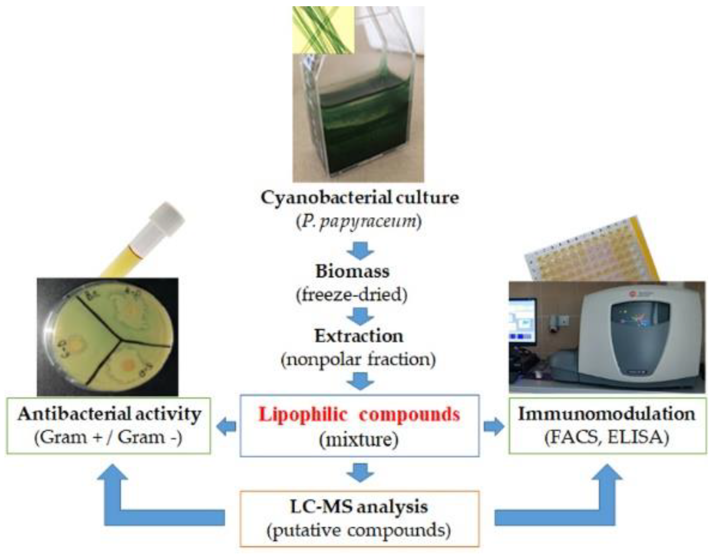 Applsci 12 02847 g001