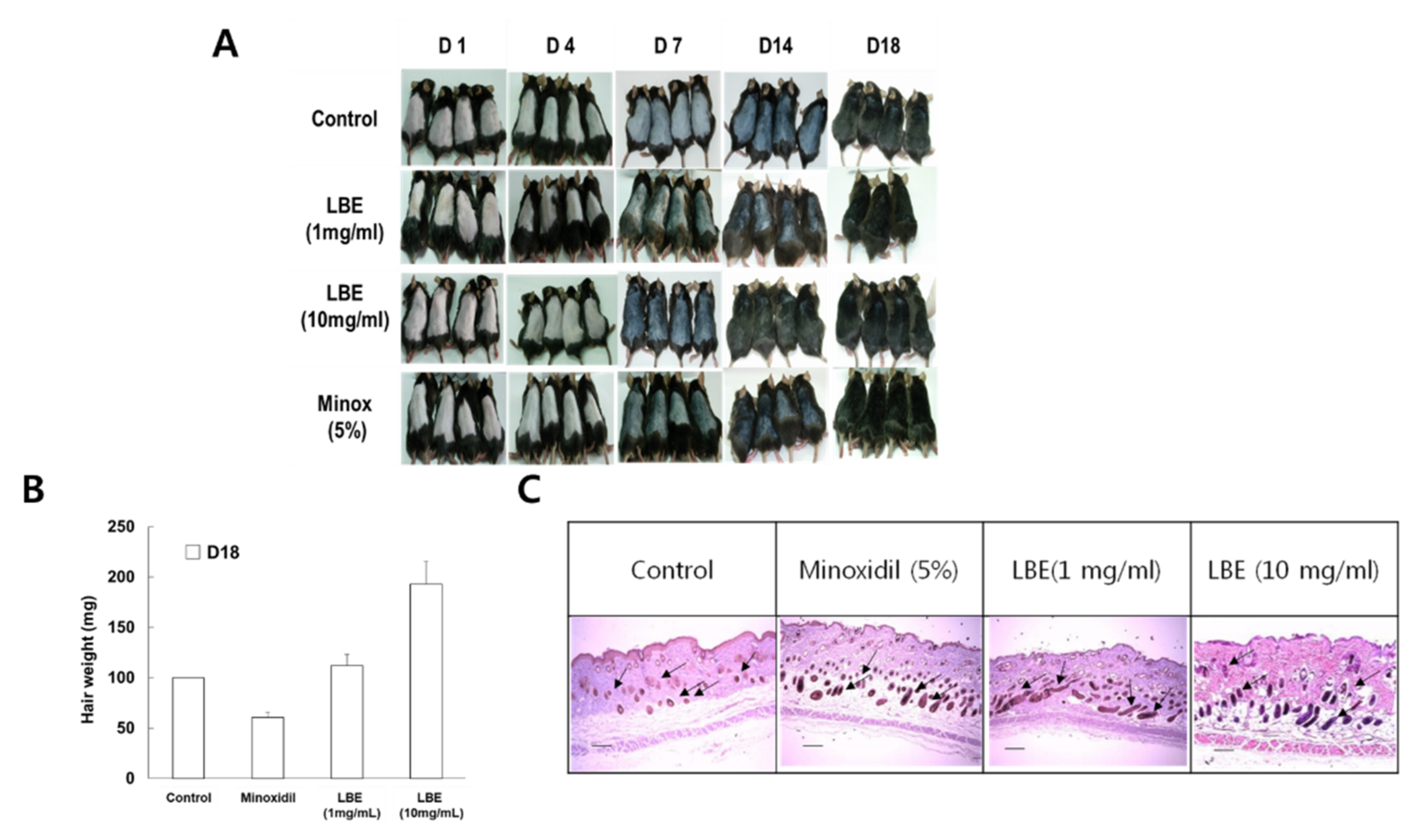Applsci 12 02863 g003
