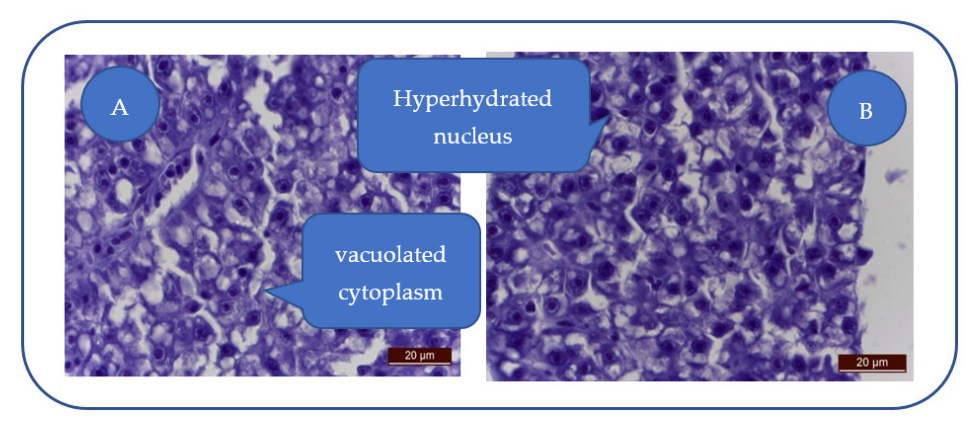 Applsci 12 02908 g003 Applsci 12 02908 g003