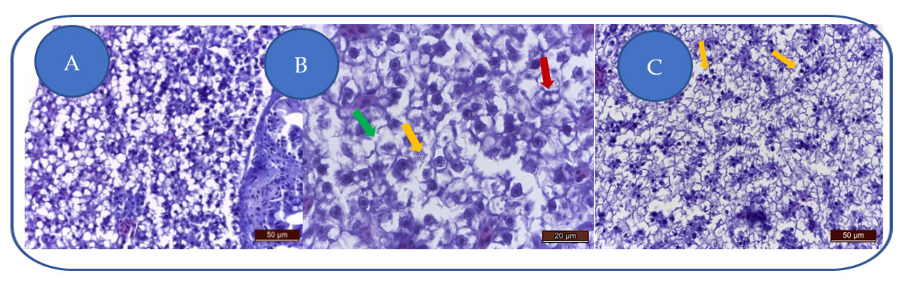 Applsci 12 02908 g004 Applsci 12 02908 g004