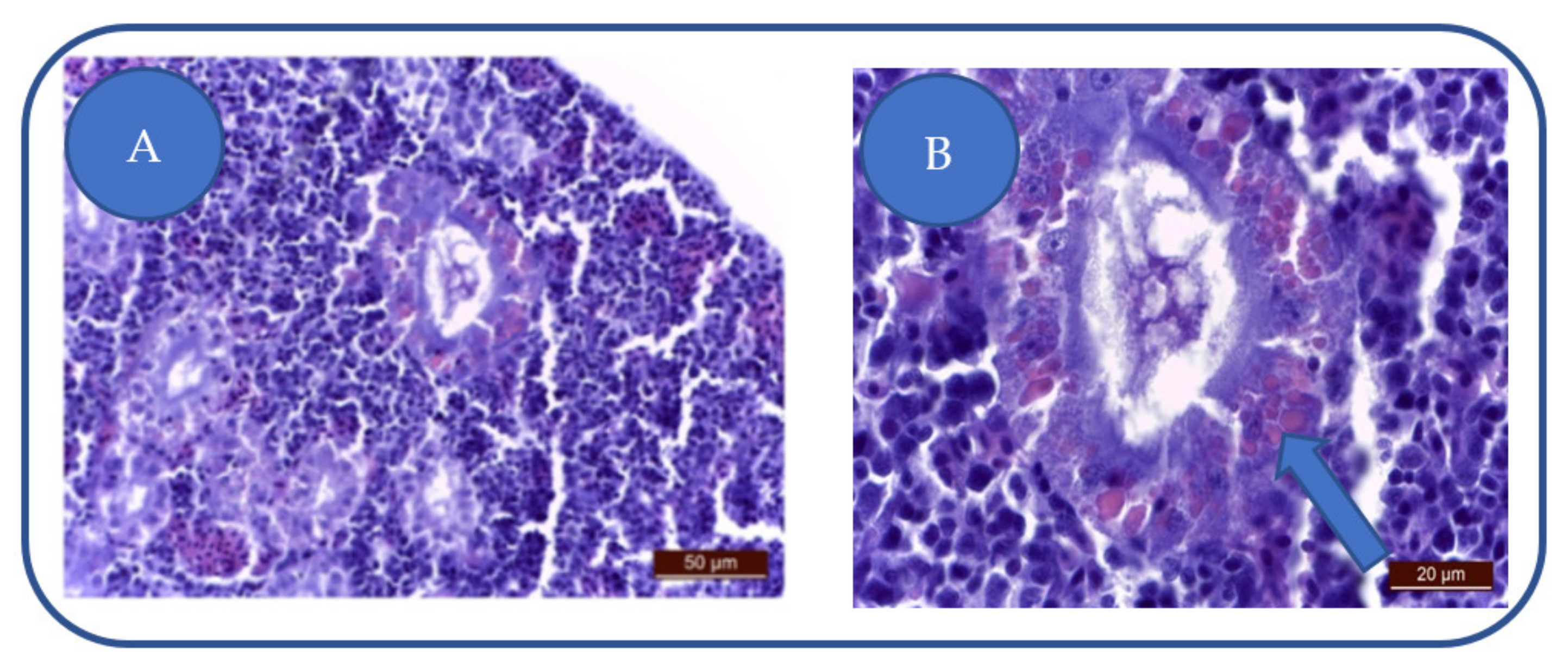 Applsci 12 02908 g005 Applsci 12 02908 g005