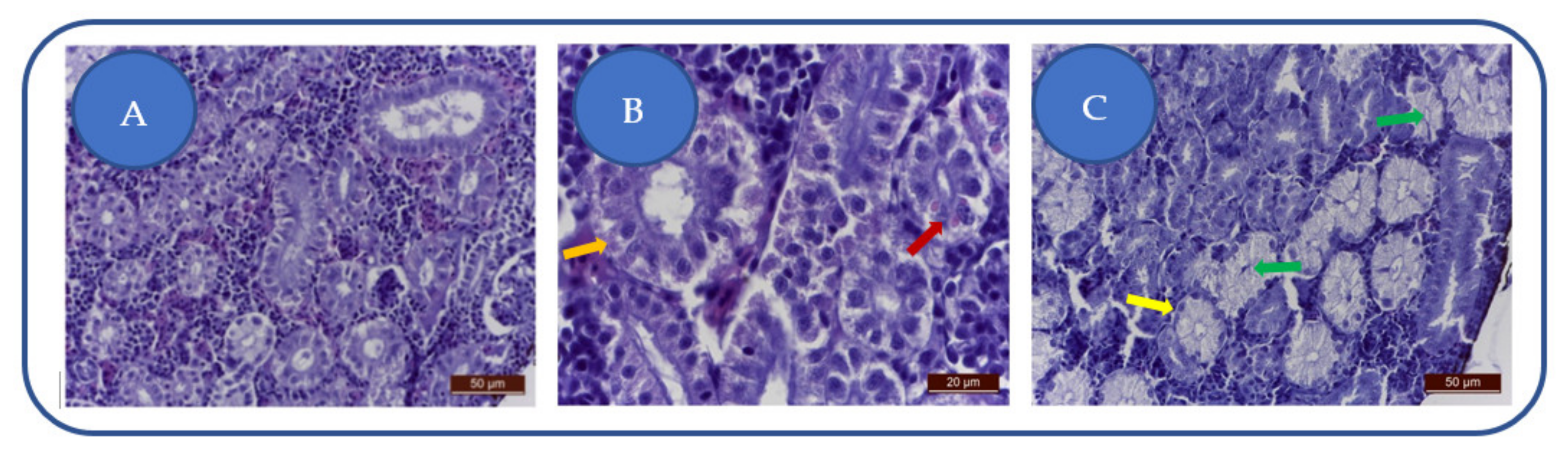 Applsci 12 02908 g006 Applsci 12 02908 g006