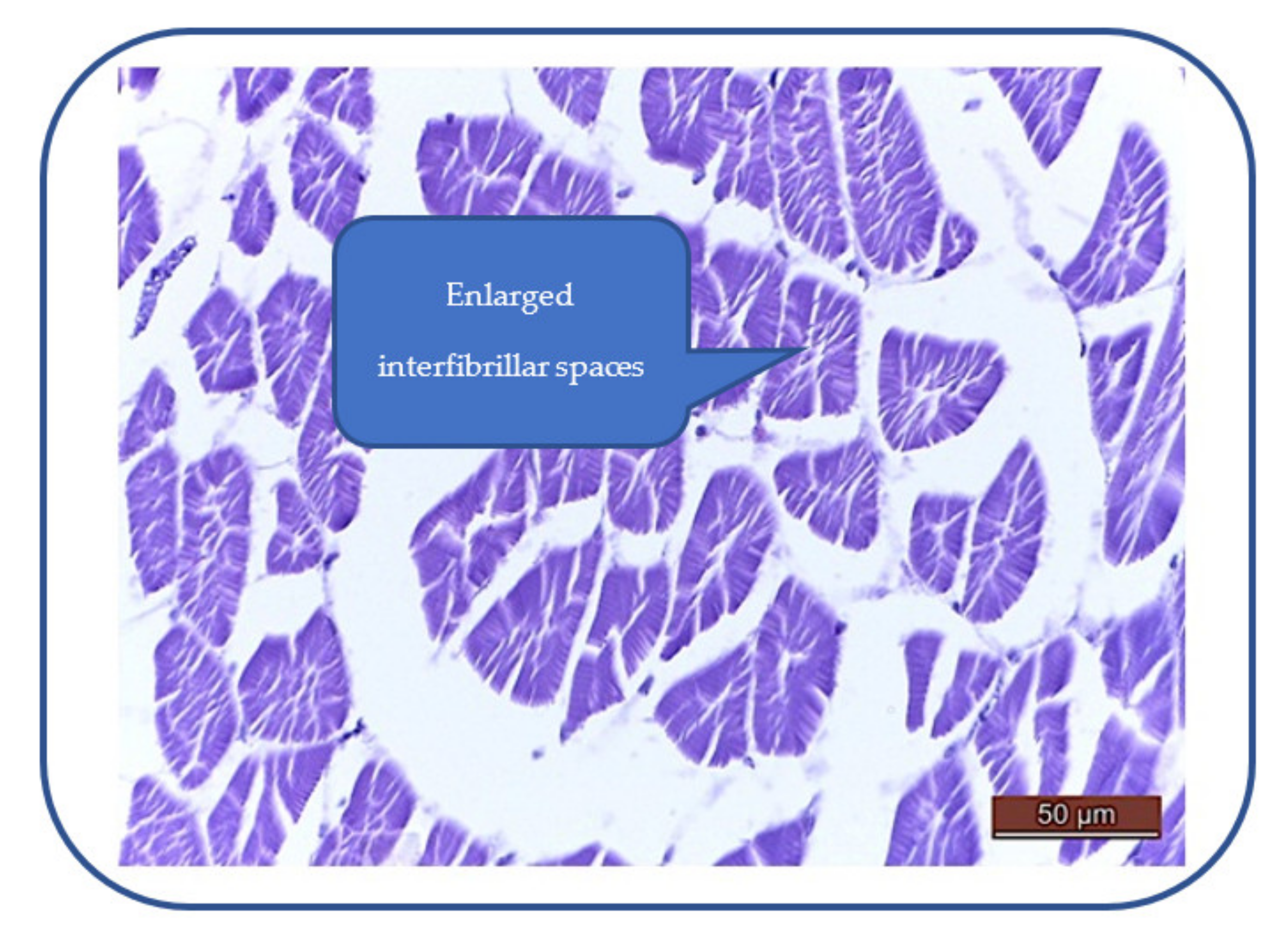 Applsci 12 02908 g007 Applsci 12 02908 g007