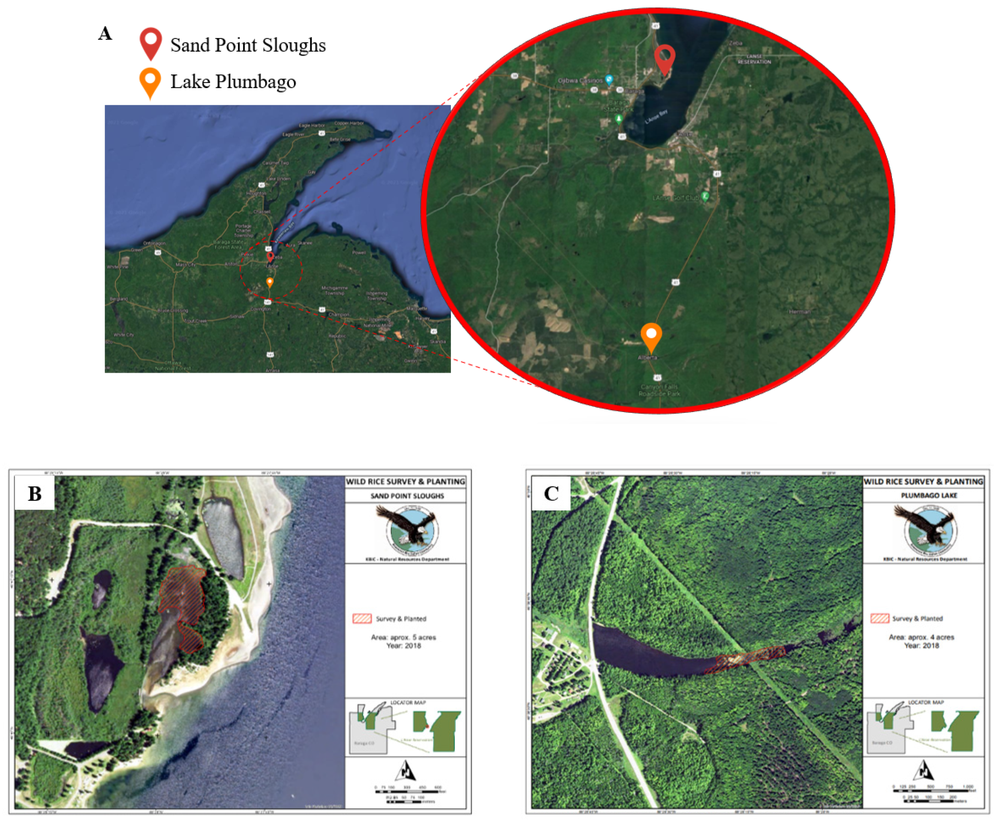 Applsci 12 02937 g001