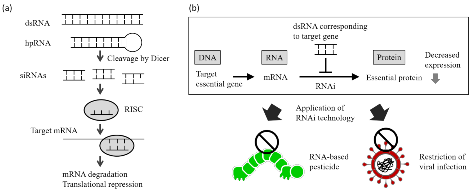 Applsci 12 02954 g001 Applsci 12 02954 g001