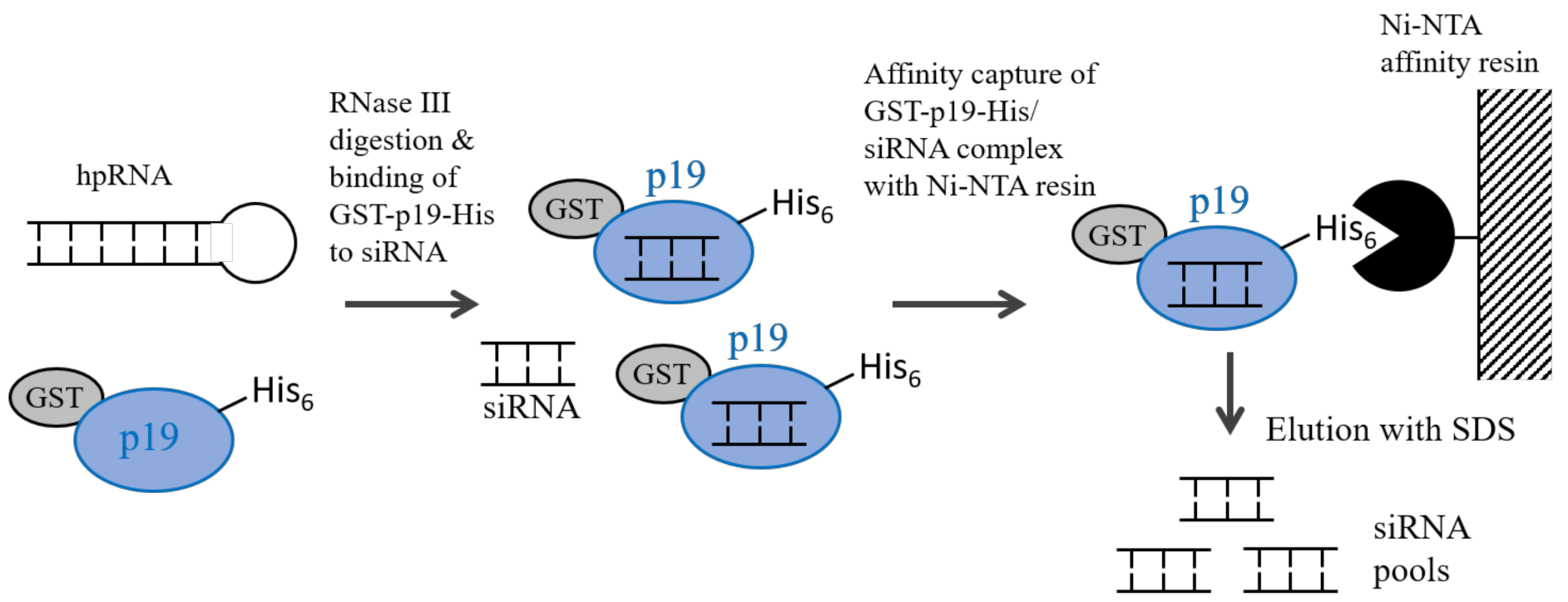 Applsci 12 02954 g003 Applsci 12 02954 g003