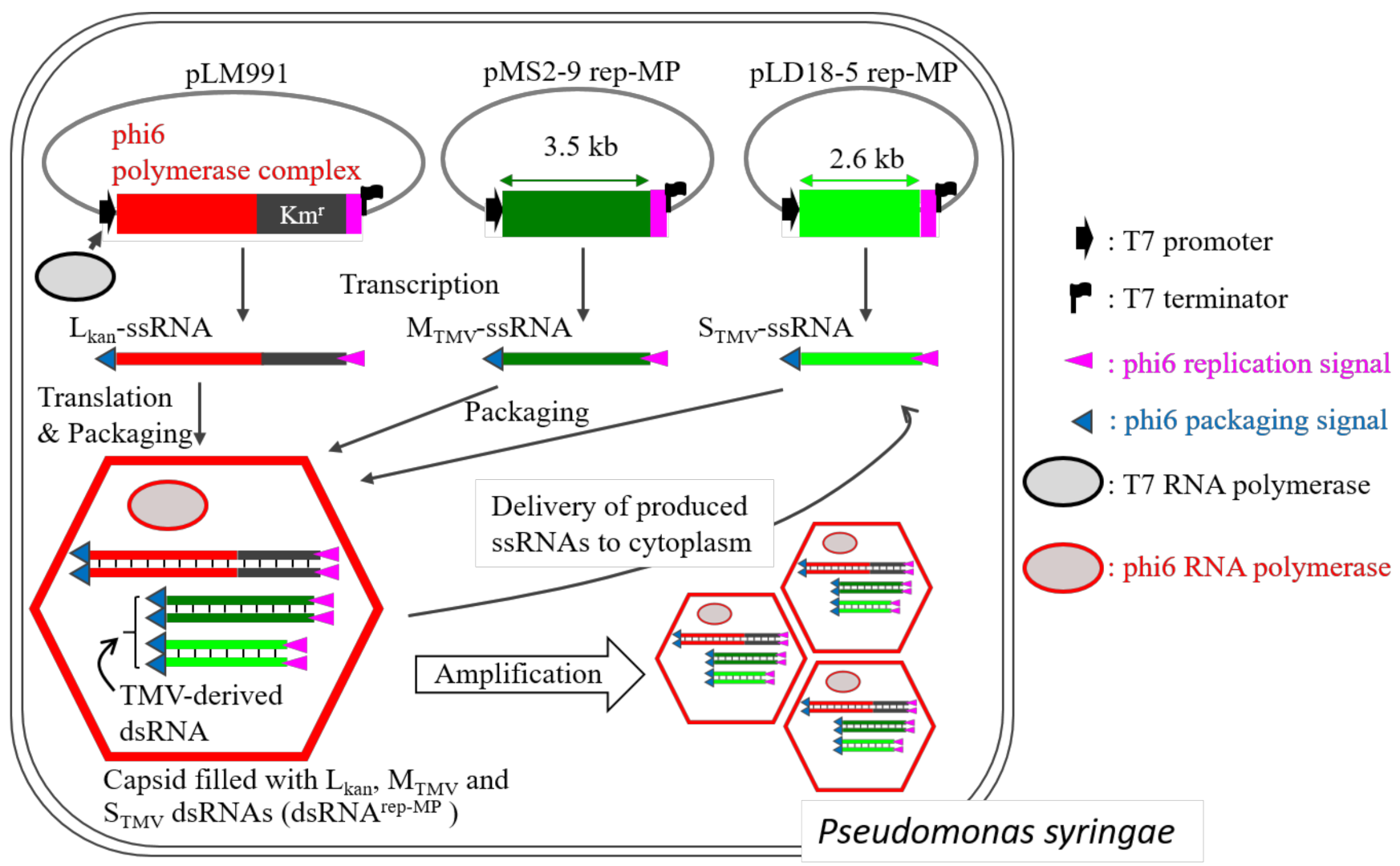 Applsci 12 02954 g004 Applsci 12 02954 g004