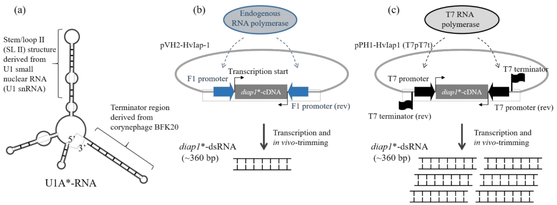 Applsci 12 02954 g005 Applsci 12 02954 g005