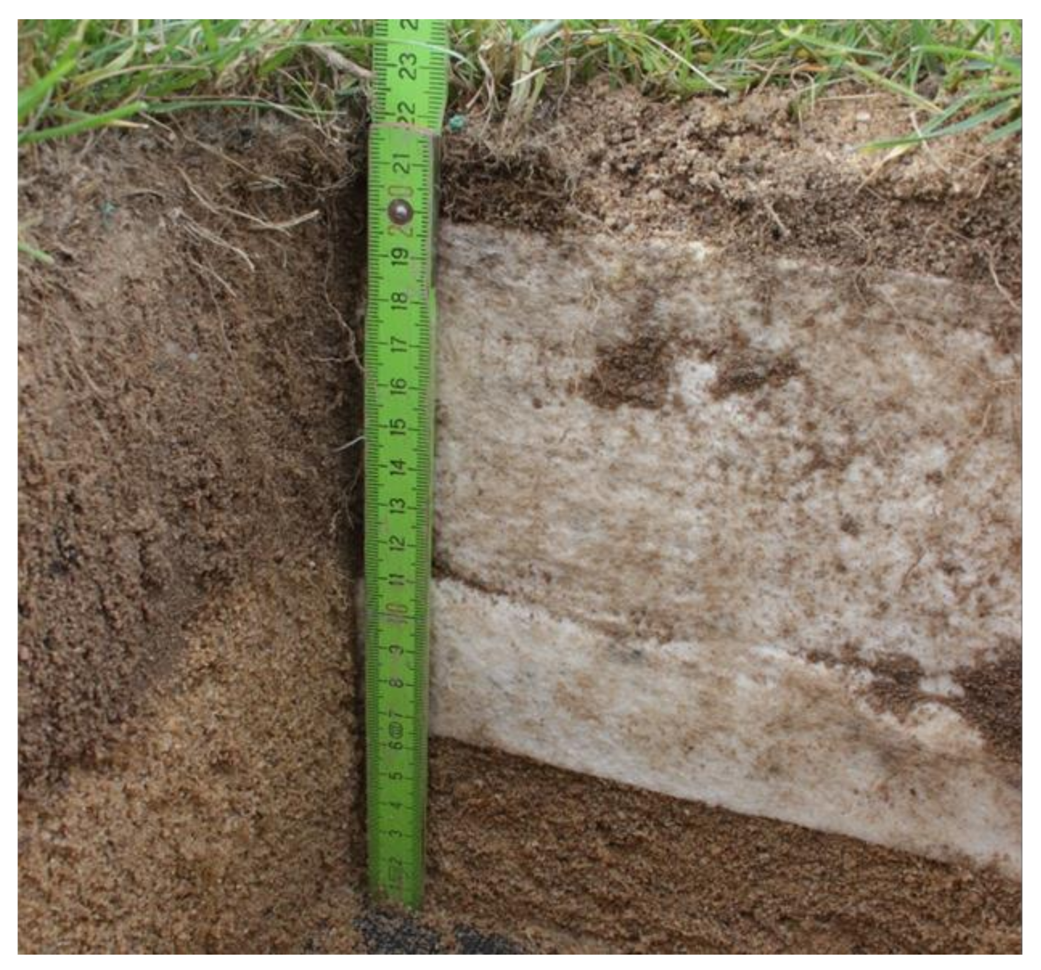 Applsci 12 02966 g003