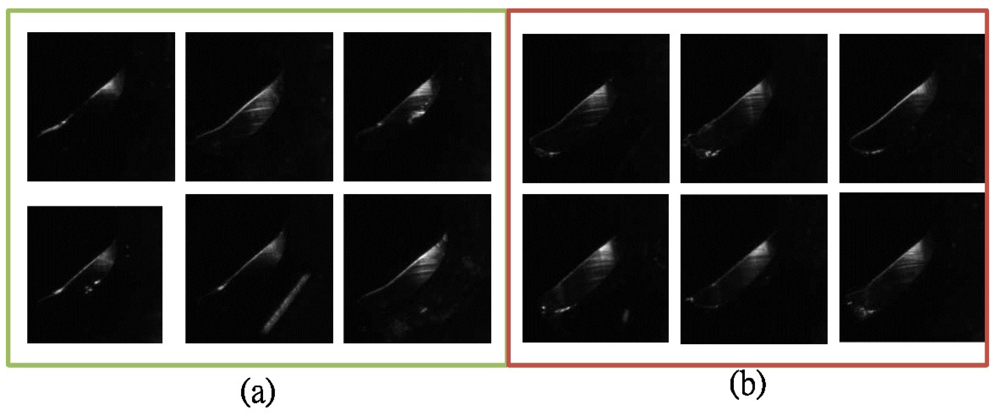 Applsci 12 03014 g006