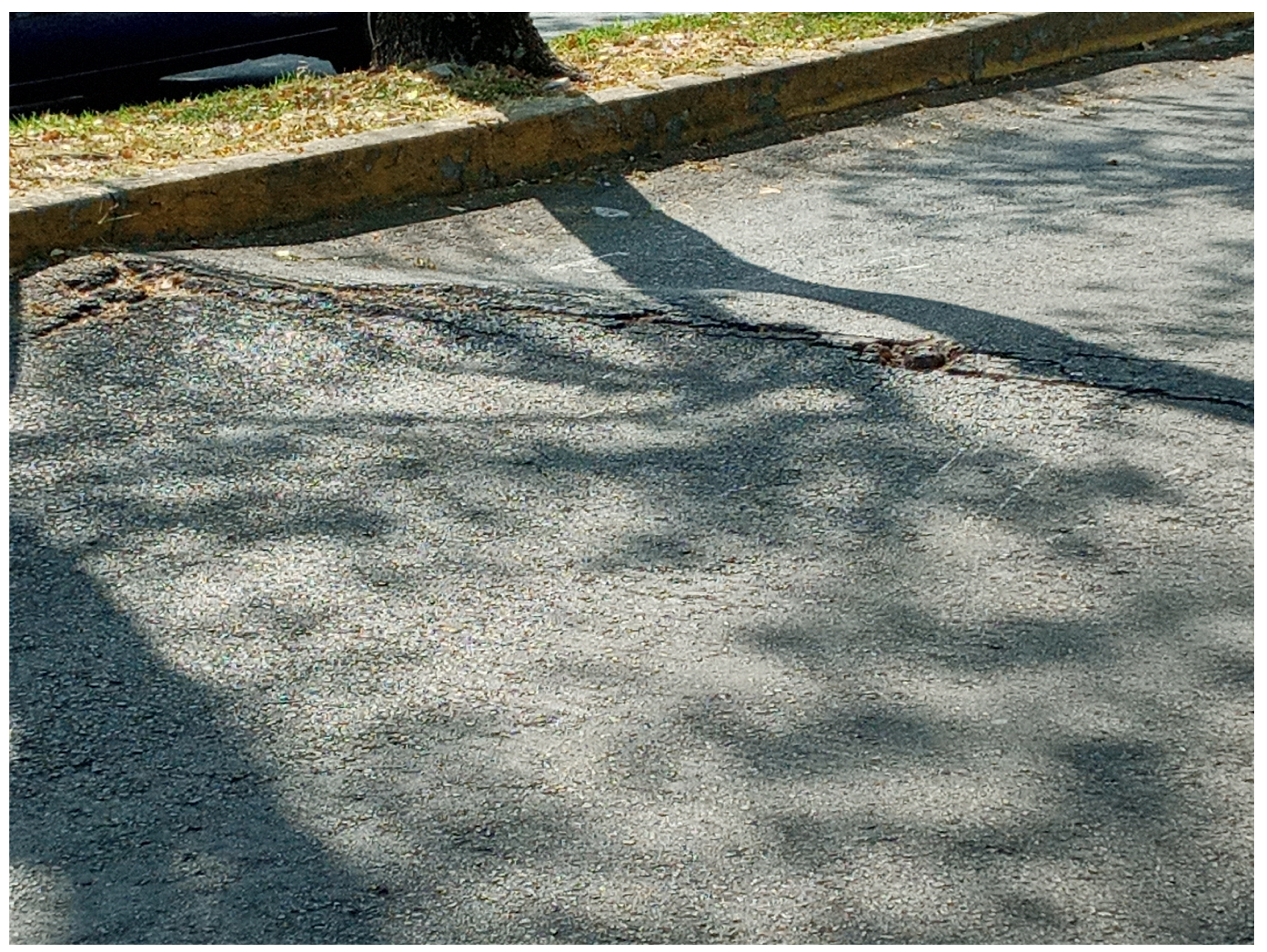 Applsci 12 03109 g003