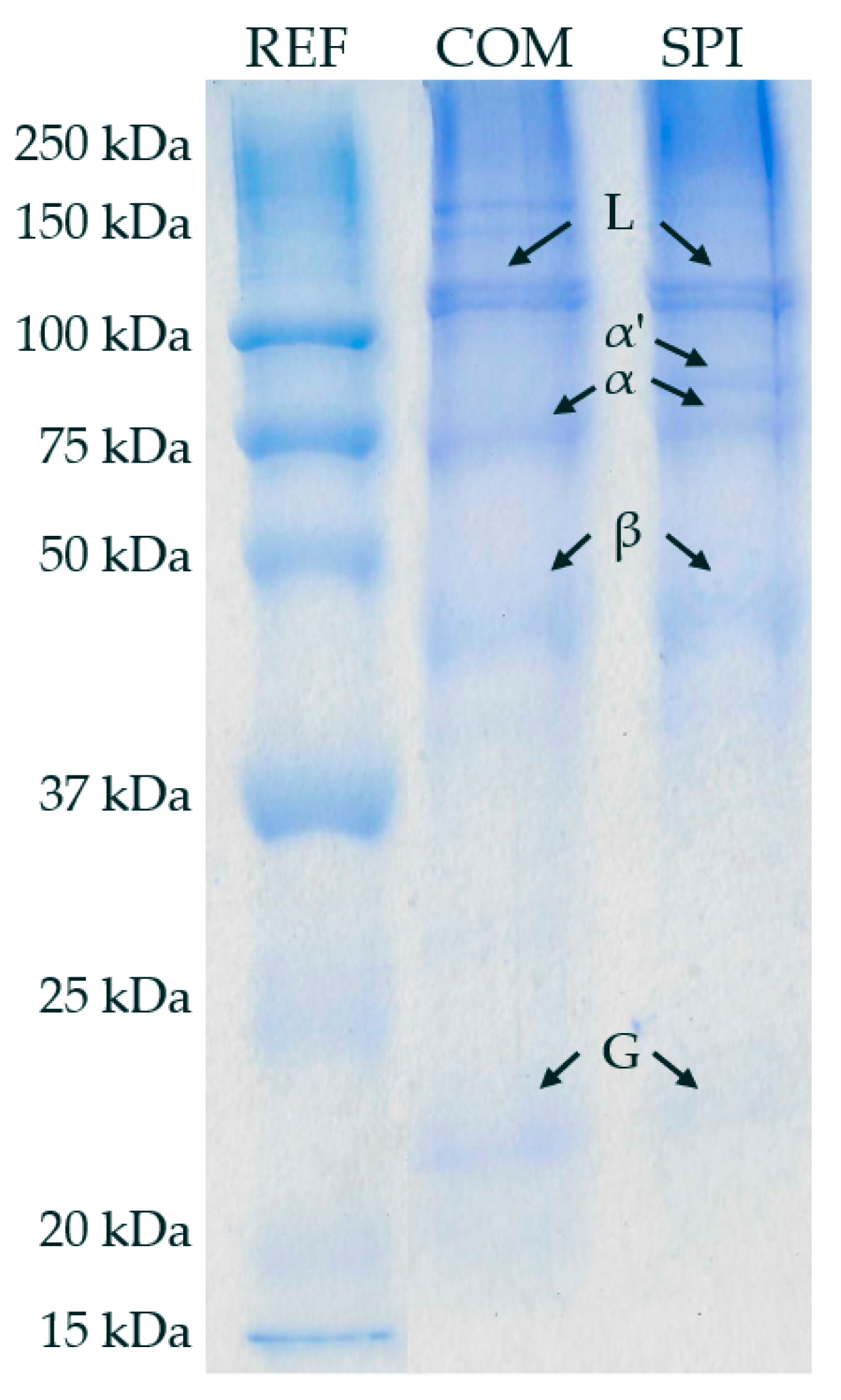 Applsci 12 03113 g004