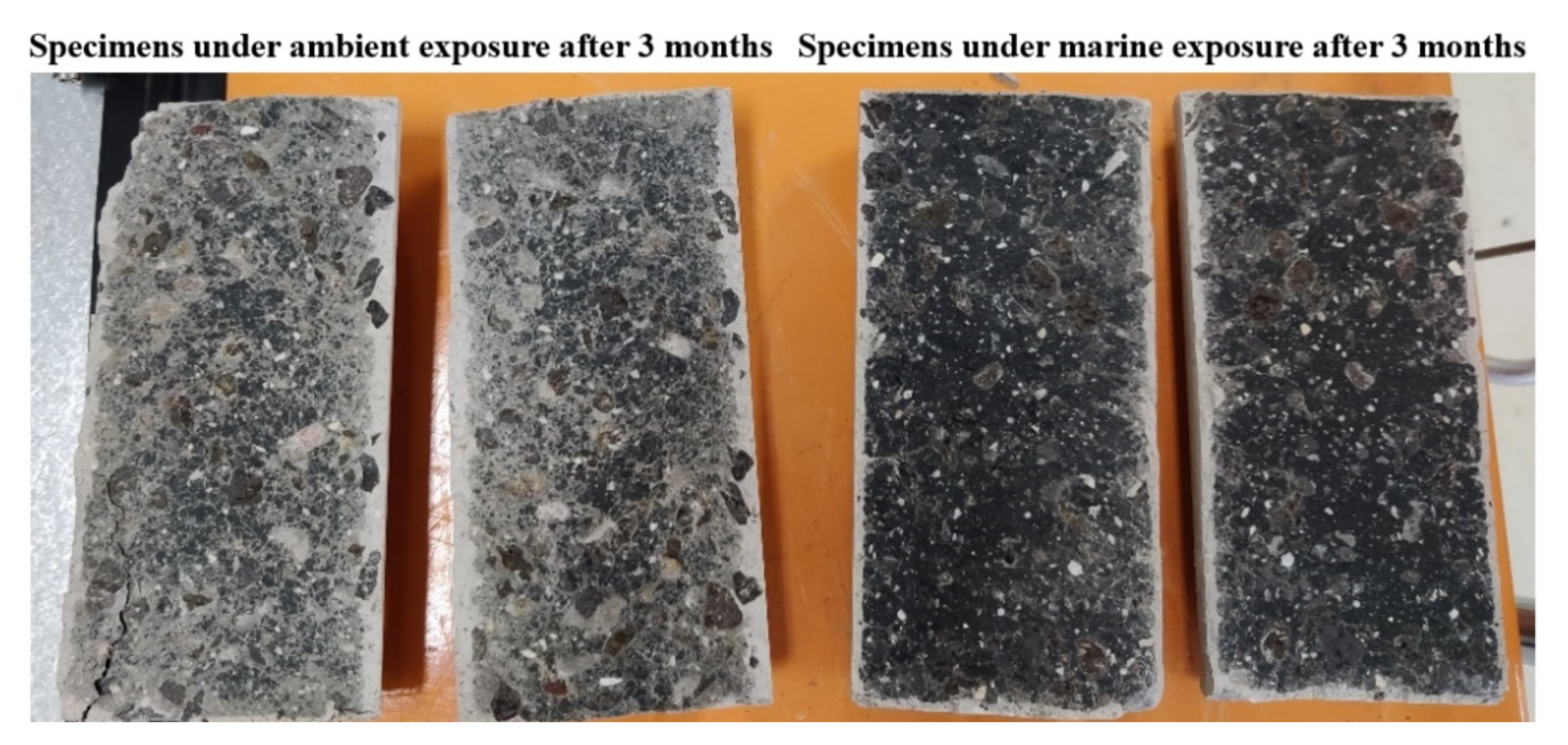 Applsci 12 03116 g010