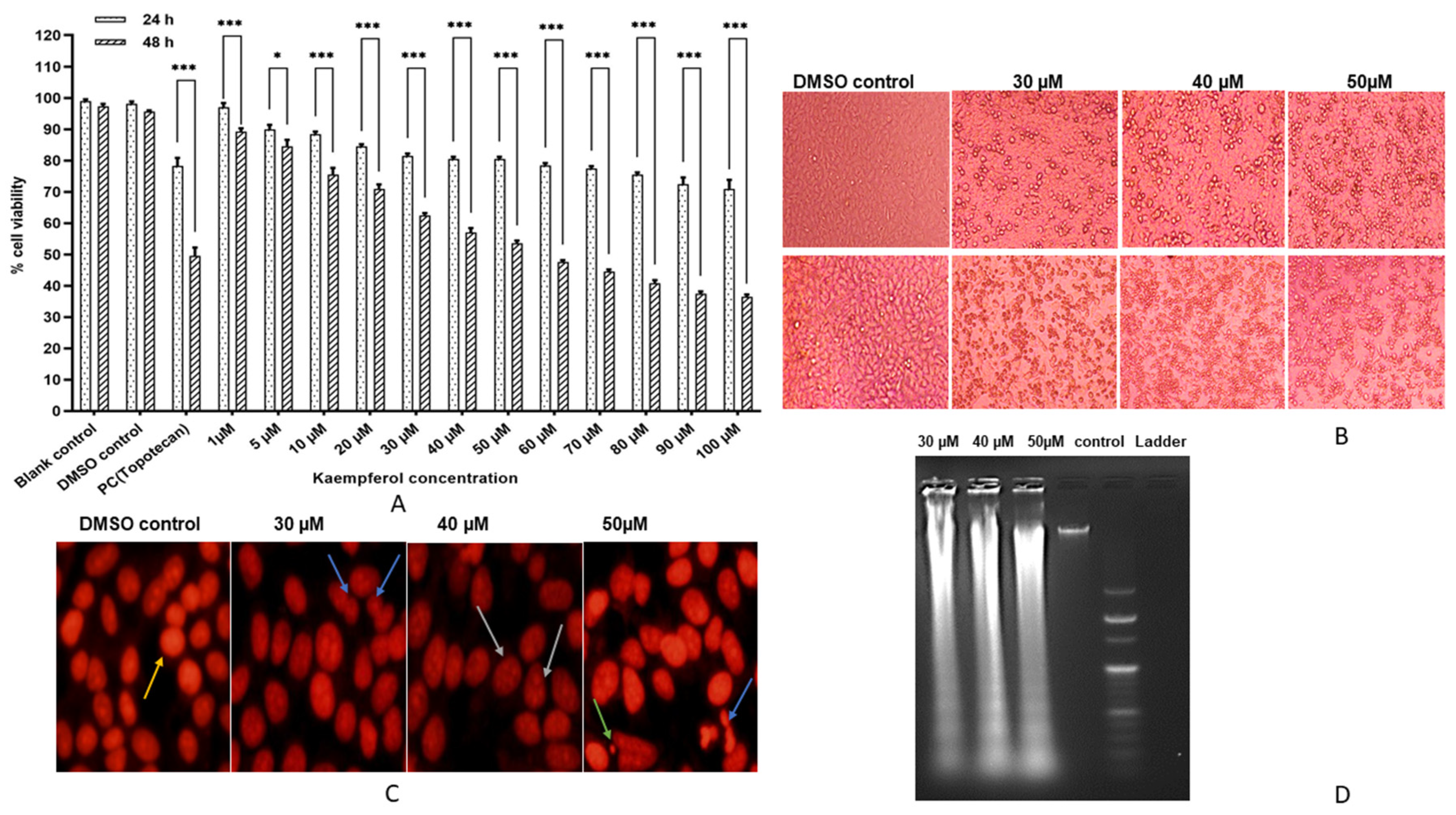Applsci 12 03155 g001