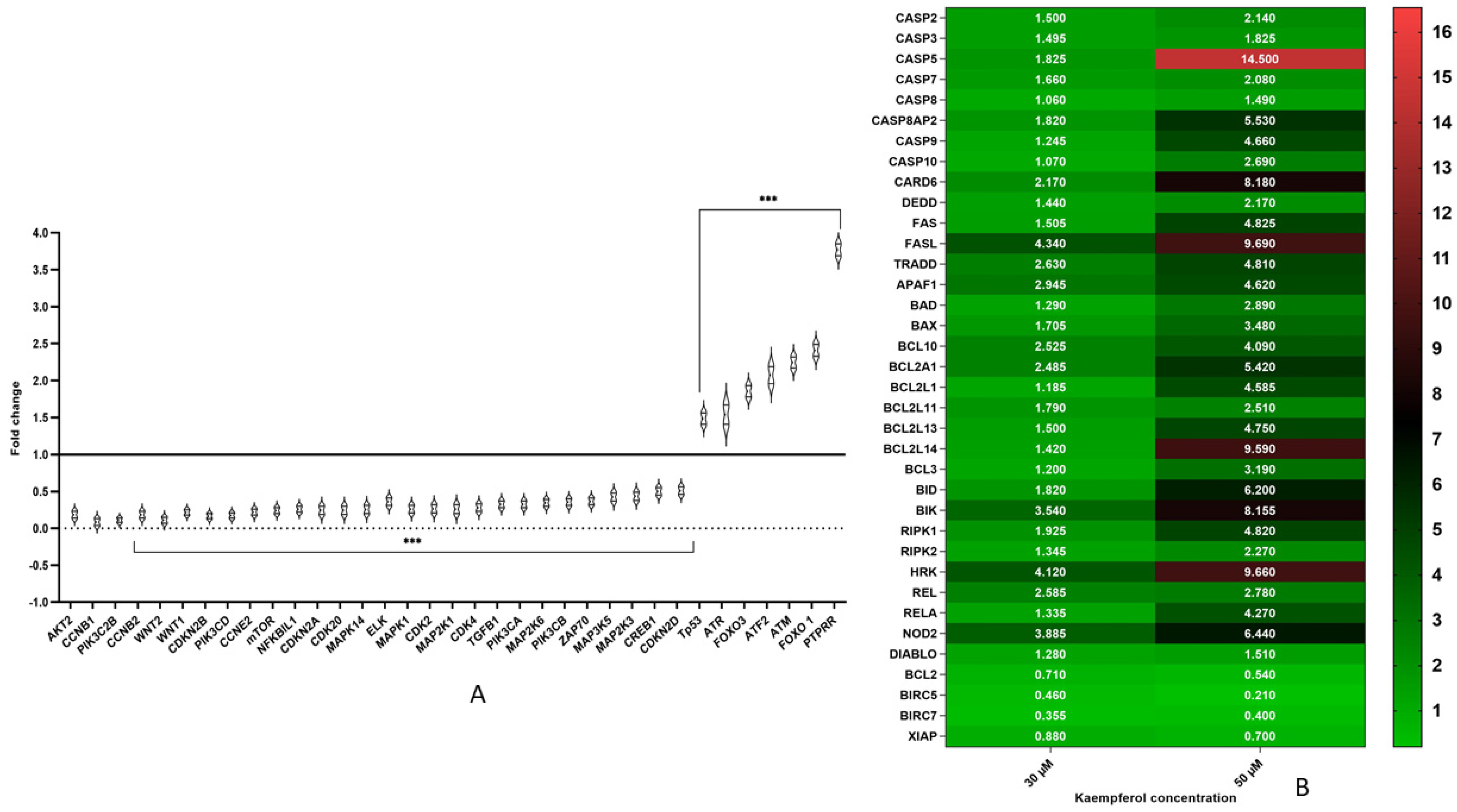 Applsci 12 03155 g003