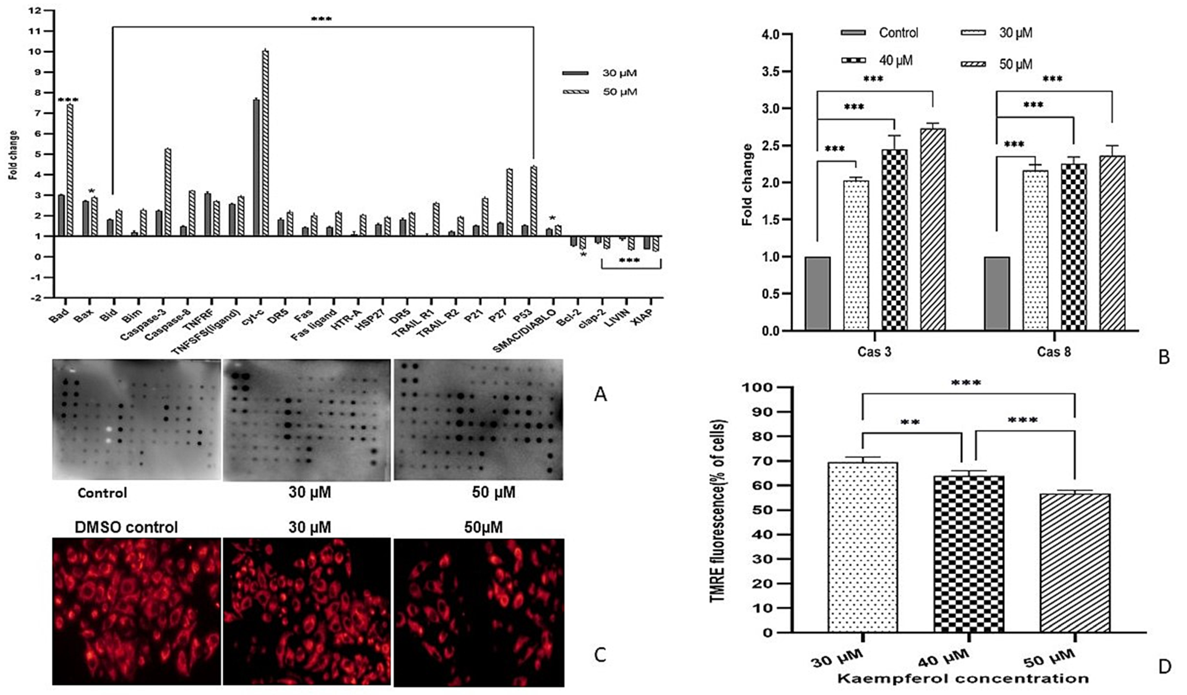 Applsci 12 03155 g004