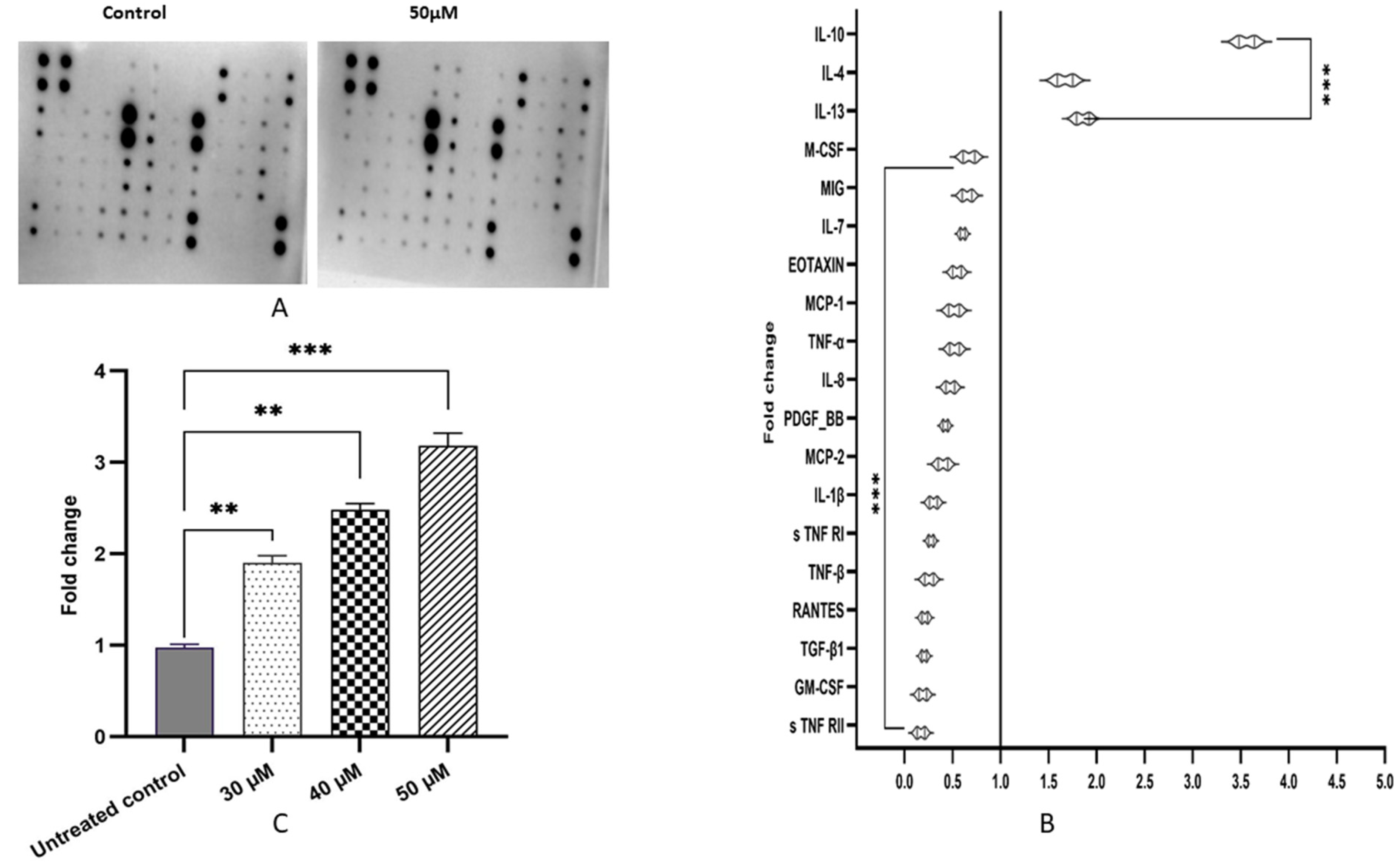 Applsci 12 03155 g005