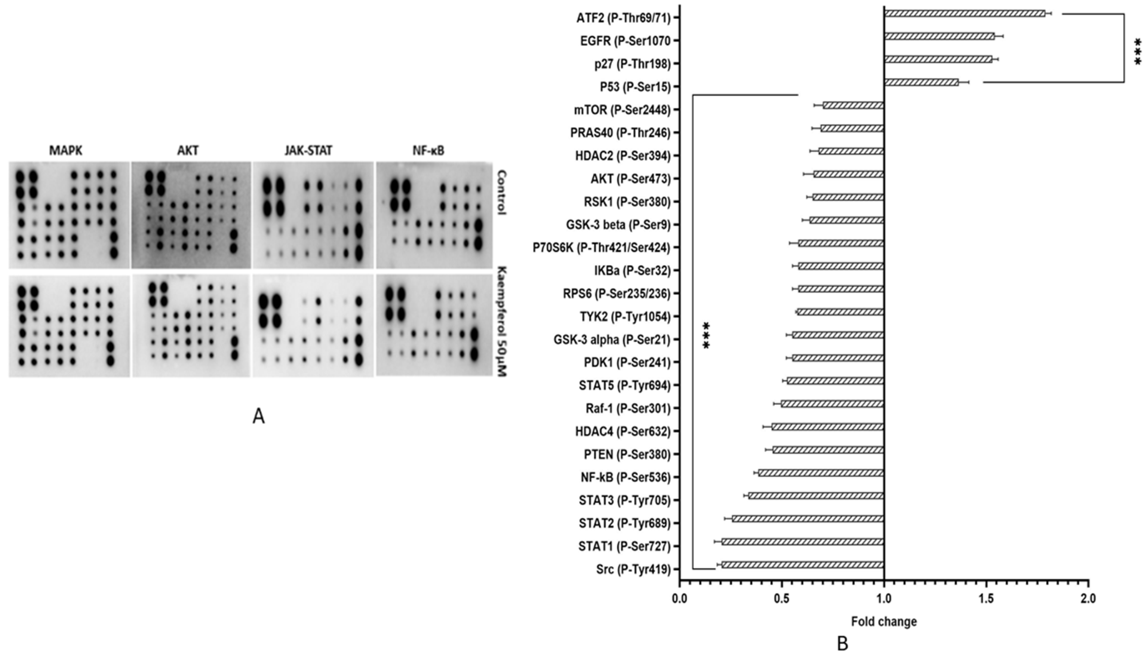 Applsci 12 03155 g006