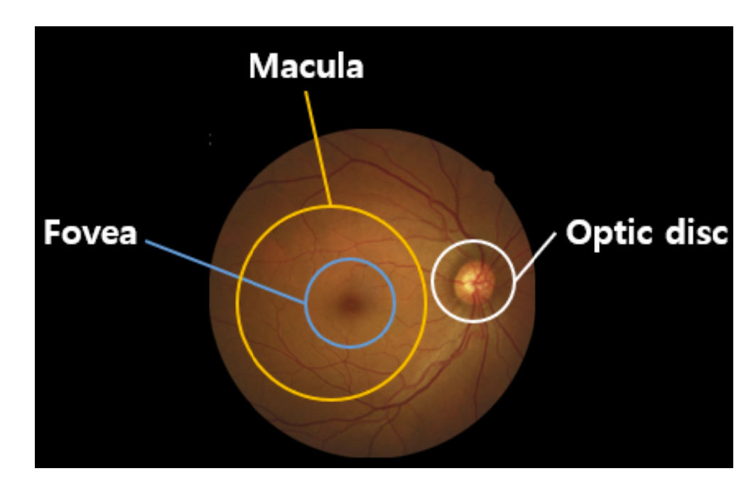 Applsci 12 03190 g001