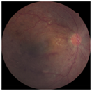 Applsci 12 03190 i001