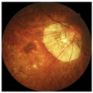 Applsci 12 03190 i002