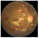 Applsci 12 03190 i003