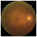 Applsci 12 03190 i007