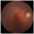 Applsci 12 03190 i008