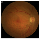 Applsci 12 03190 i009