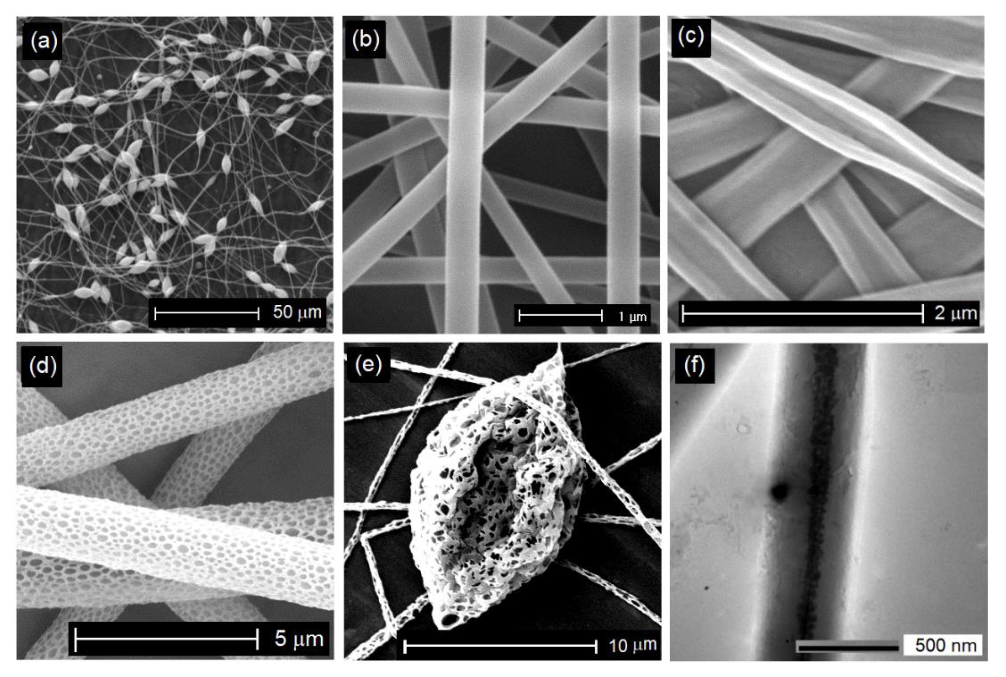 Applsci 12 03192 g006 Applsci 12 03192 g006