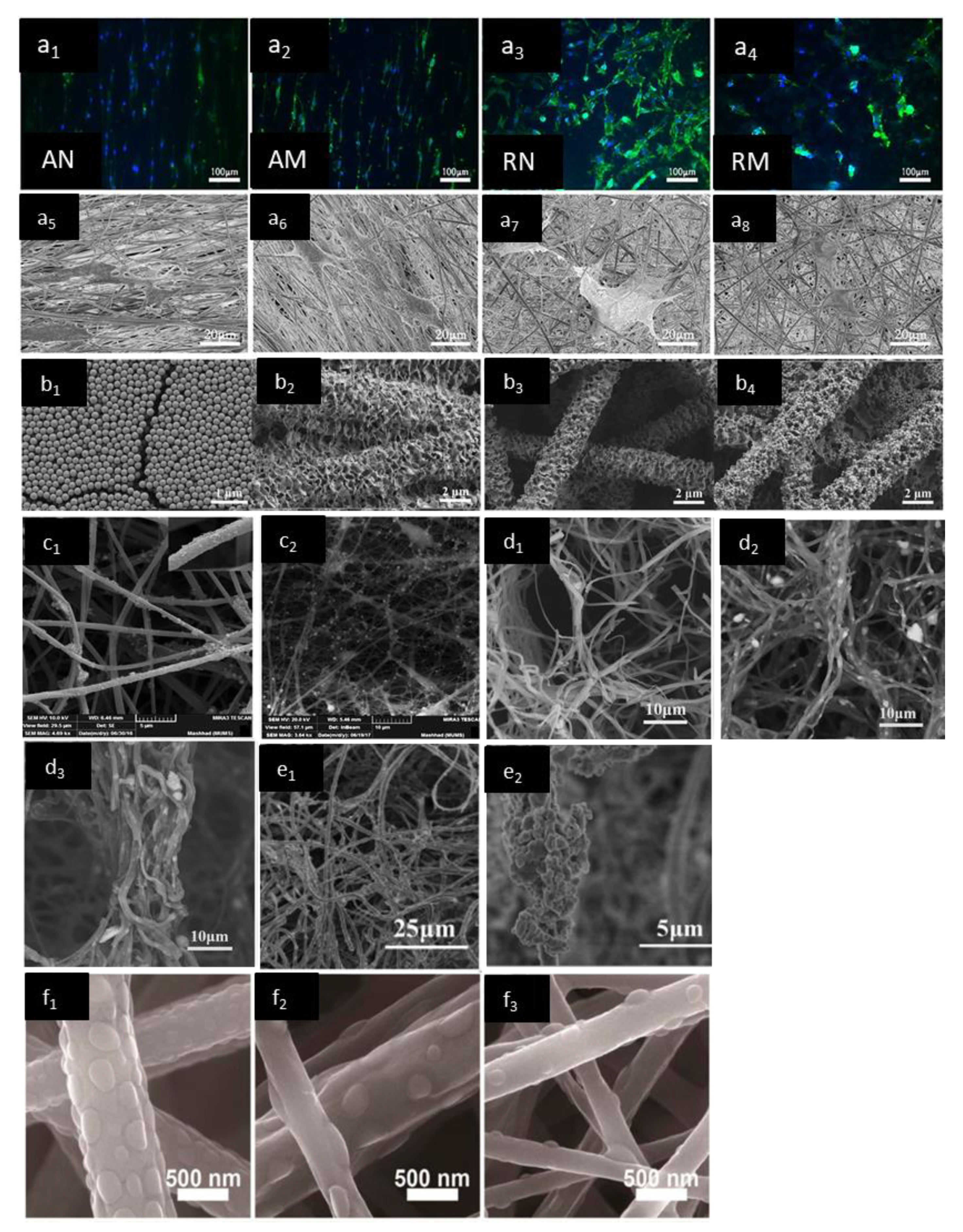 Applsci 12 03192 g016 Applsci 12 03192 g016