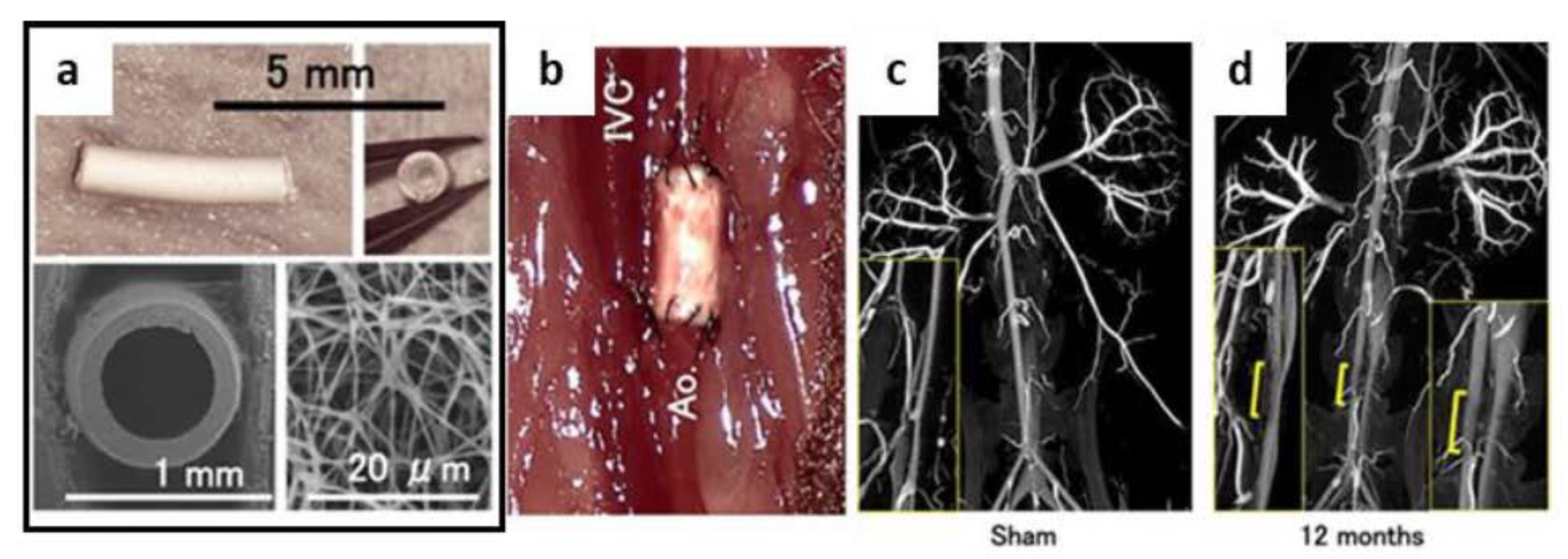Applsci 12 03192 g017 Applsci 12 03192 g017