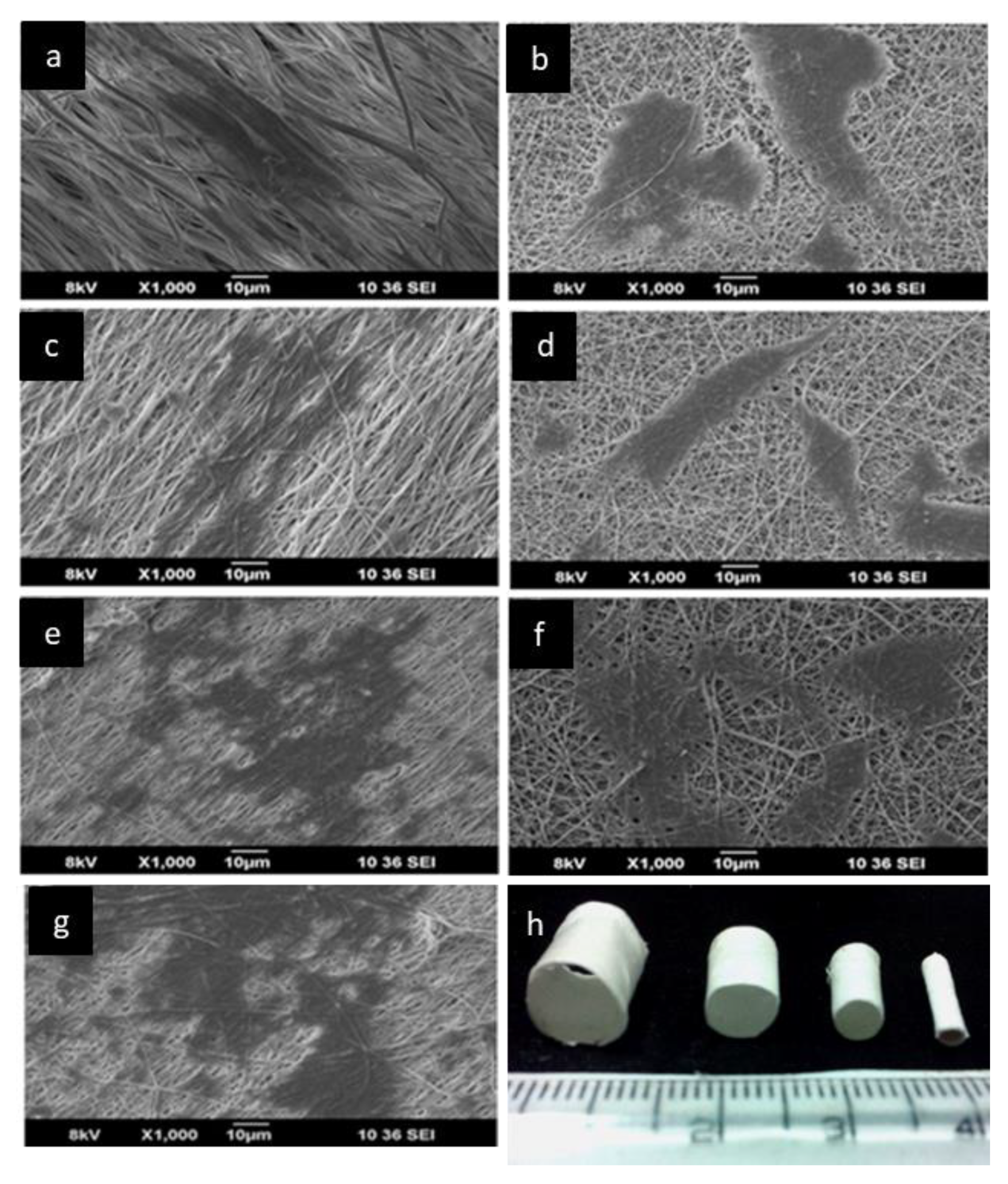 Applsci 12 03192 g018 Applsci 12 03192 g018