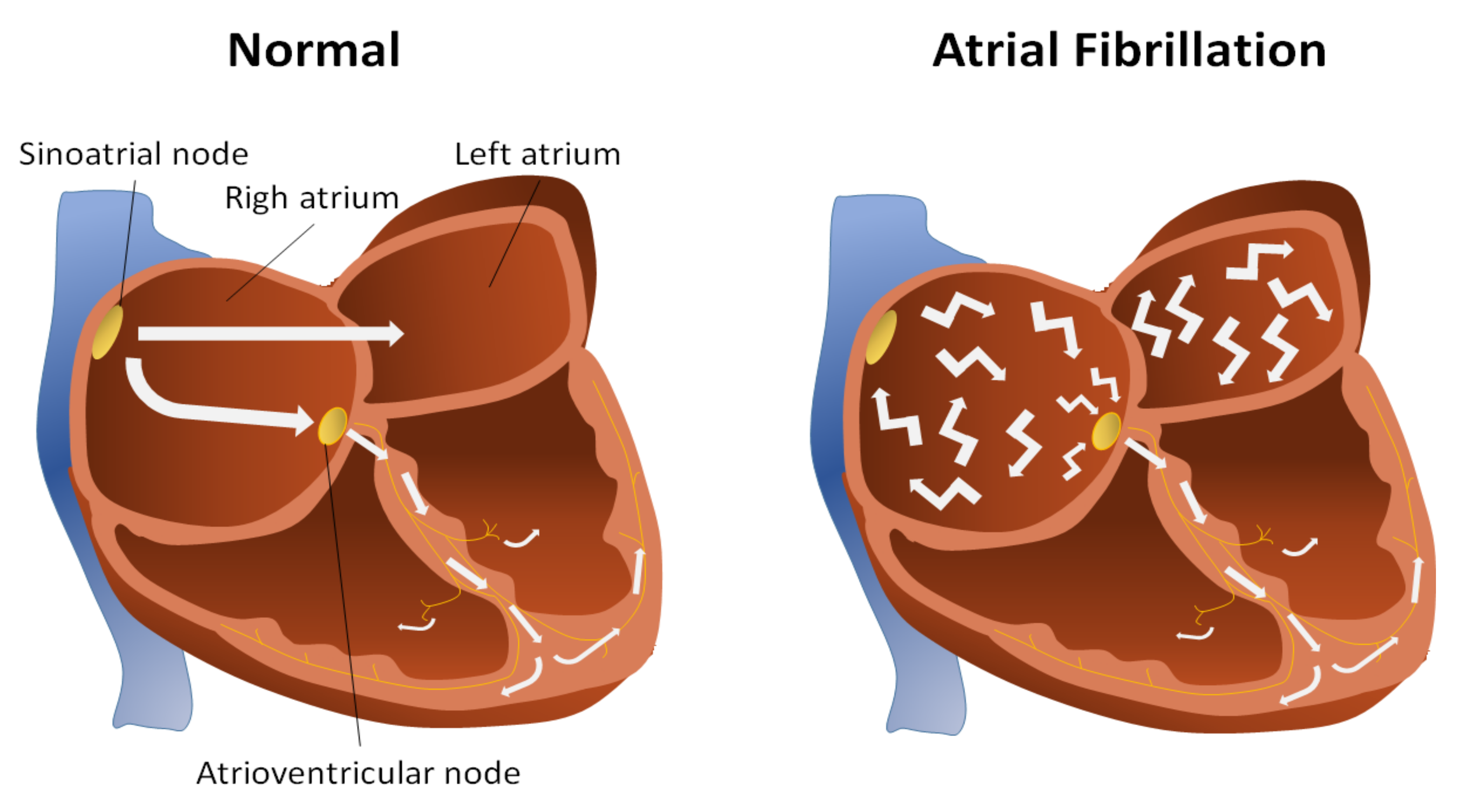 Applsci 12 03201 g001