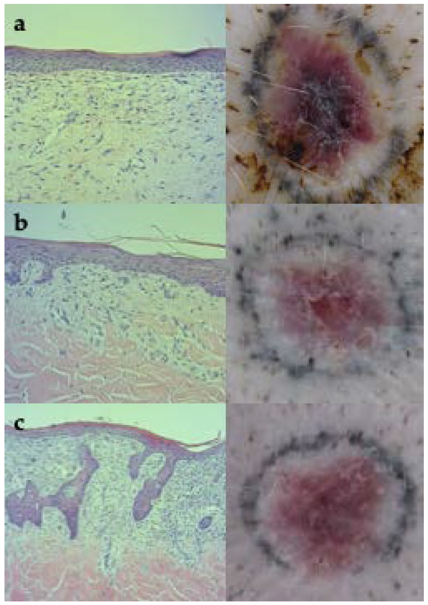 Applsci 12 03205 g001