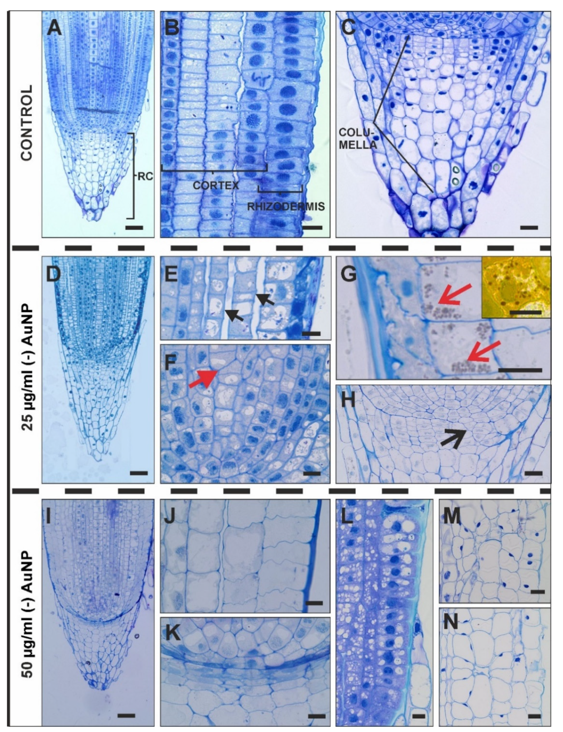 Applsci 12 03265 g002